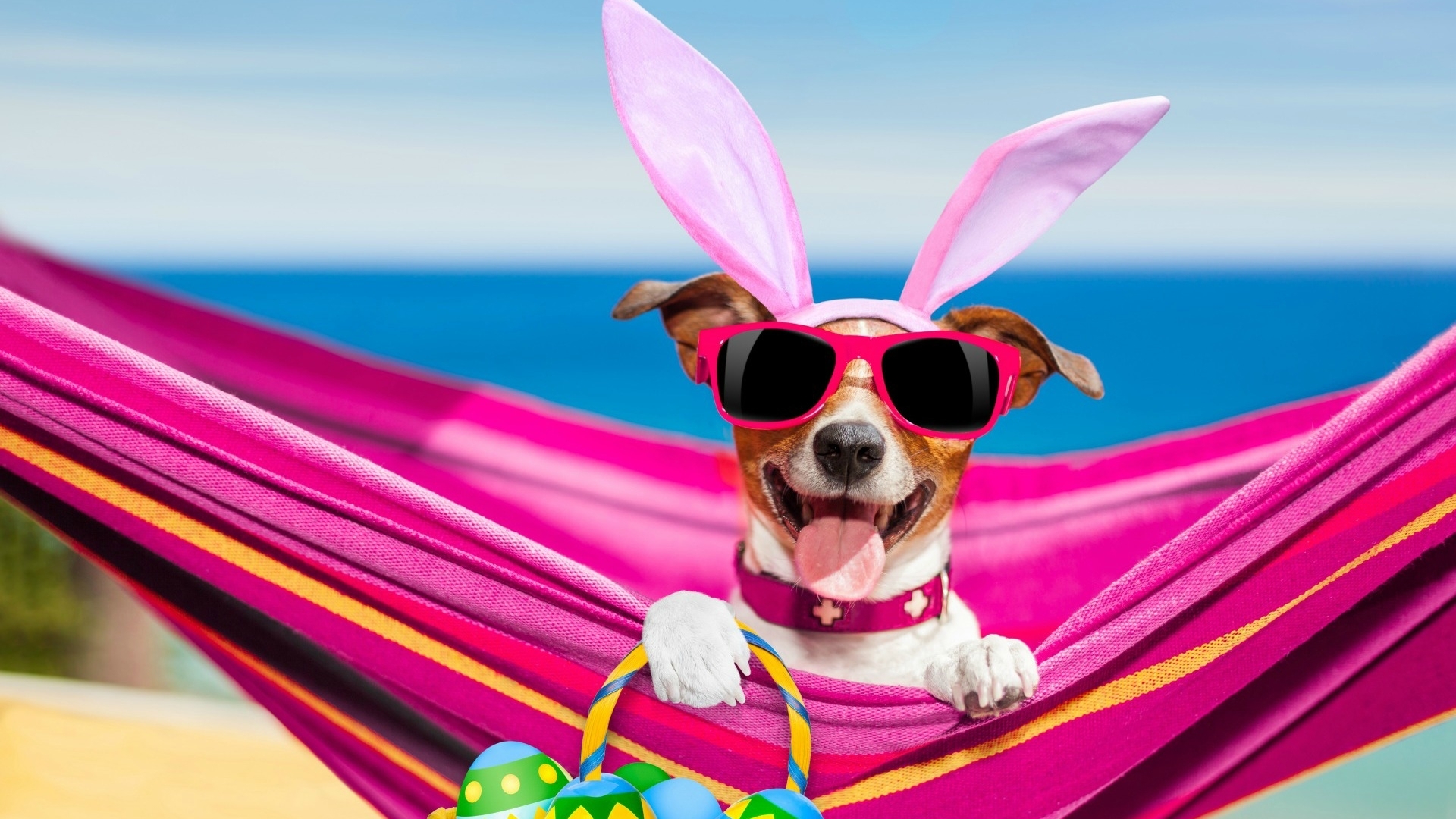 ears, caine, easter, hammock, animal, card, egg, jack russell terrier, basket, bunny, funny, pink, dog, HD Wallpaper