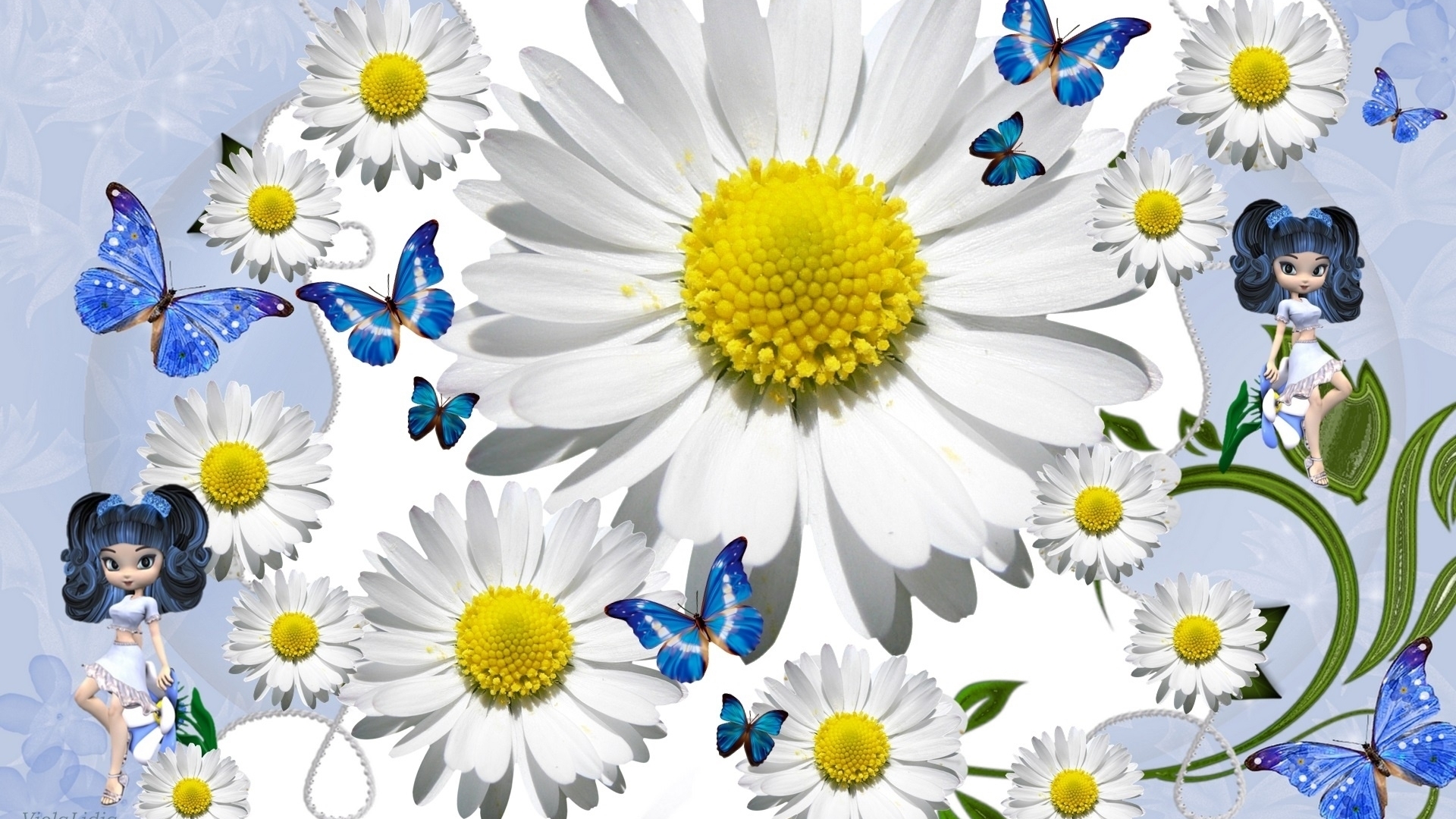 daisy, artistic, white, spring, butterfly, flower, HD Wallpaper