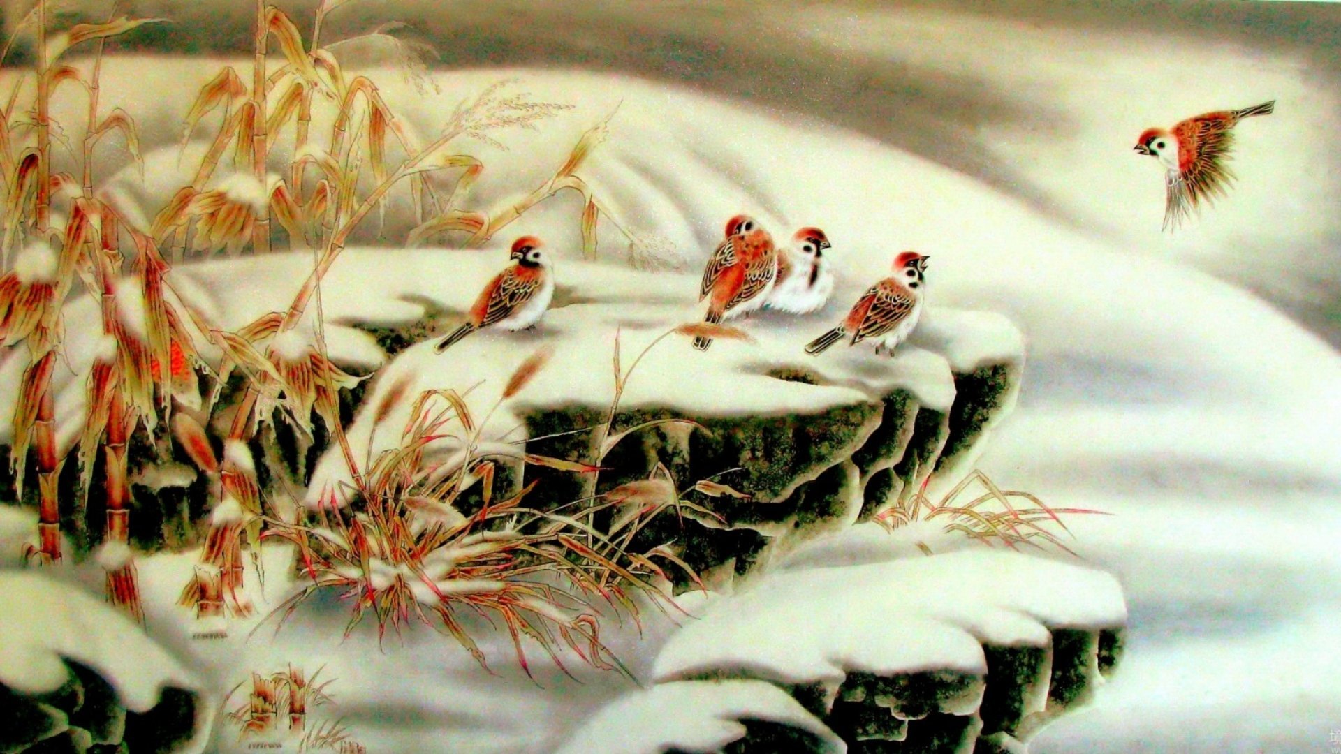 birds, sparrows, art, snow, HD Wallpaper