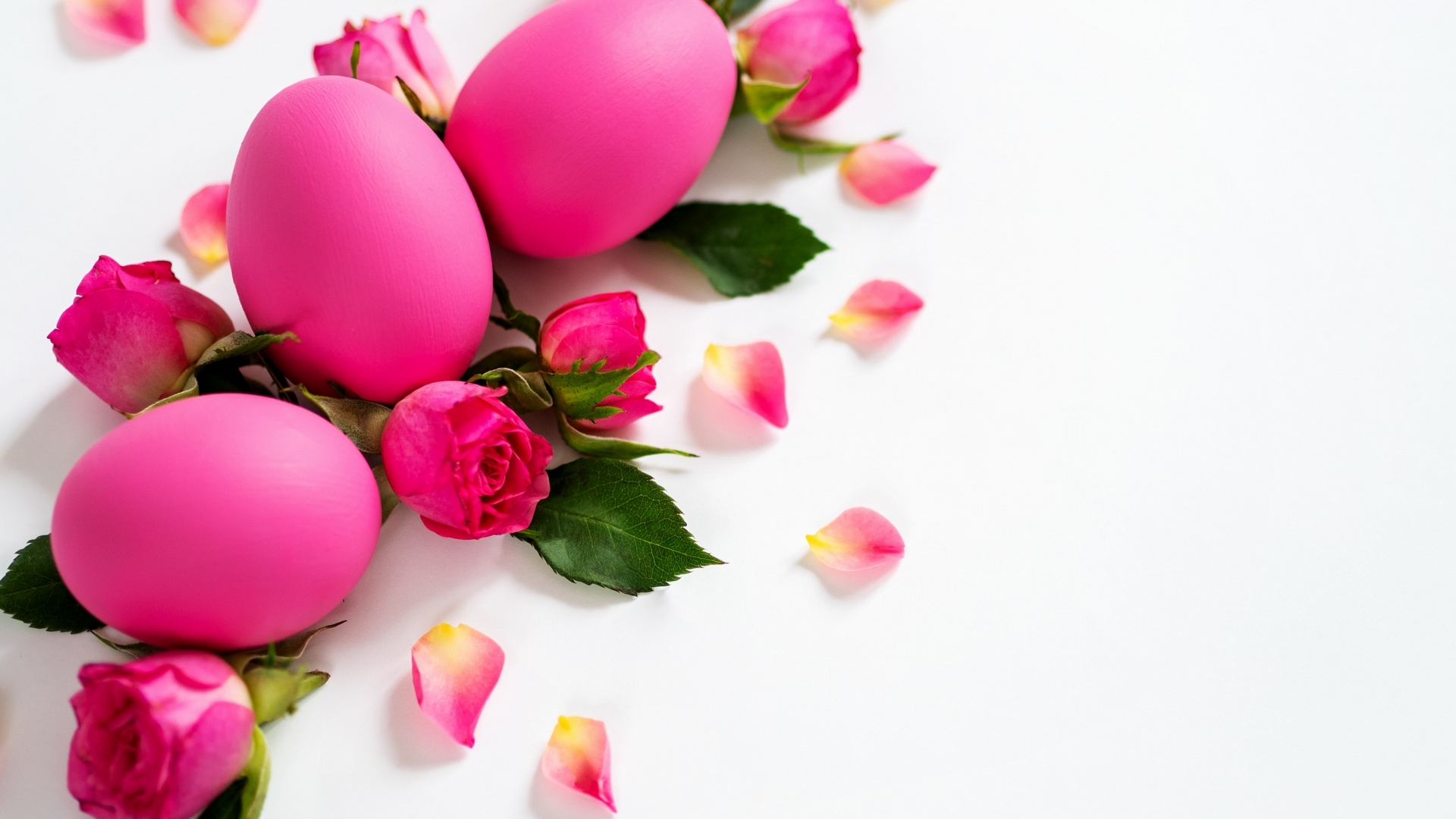 egg, rose, flower, easter, petals, pink, pasti, card, HD Wallpaper