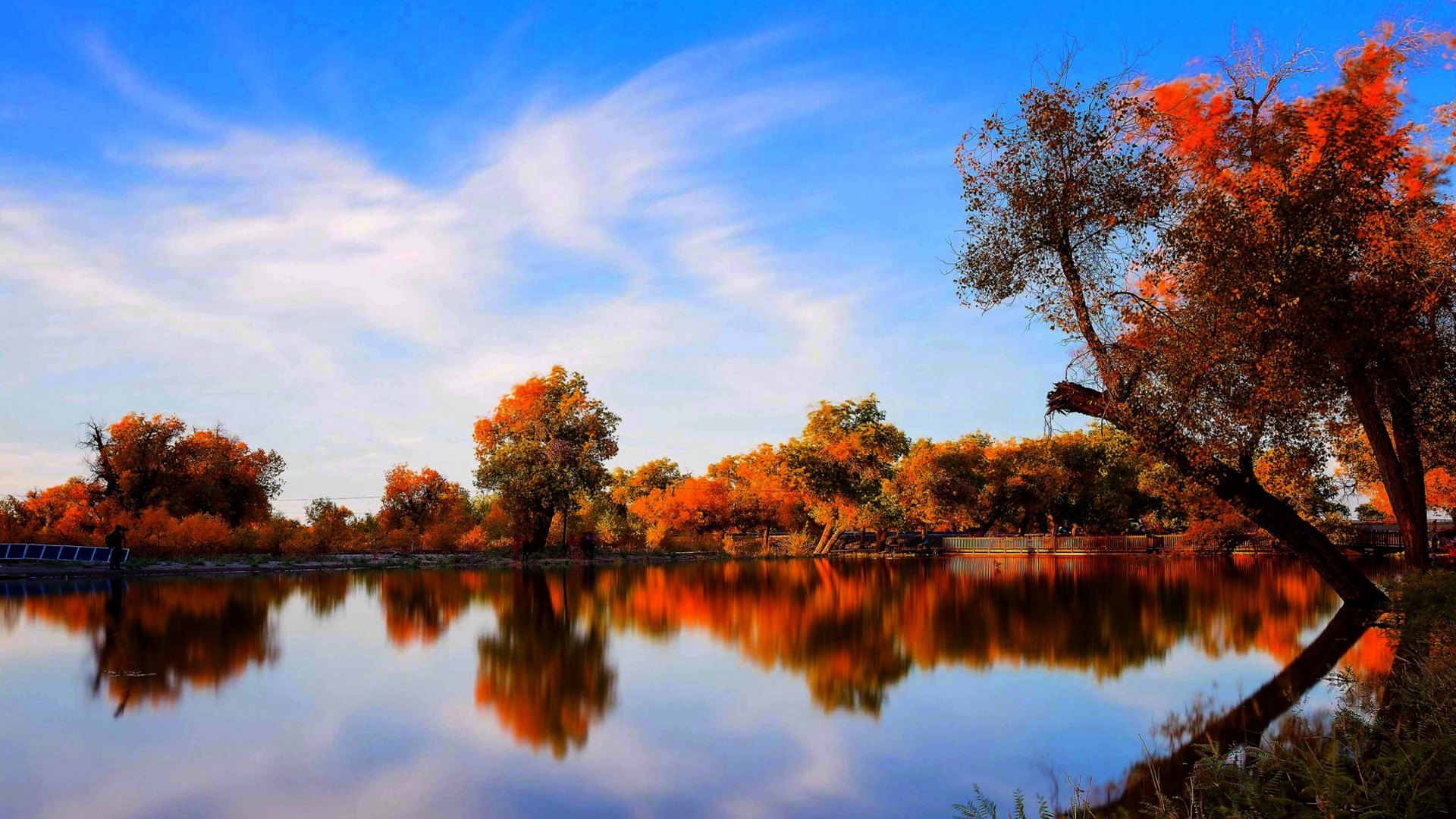 autumn, nature, reflection, lake, HD Wallpaper