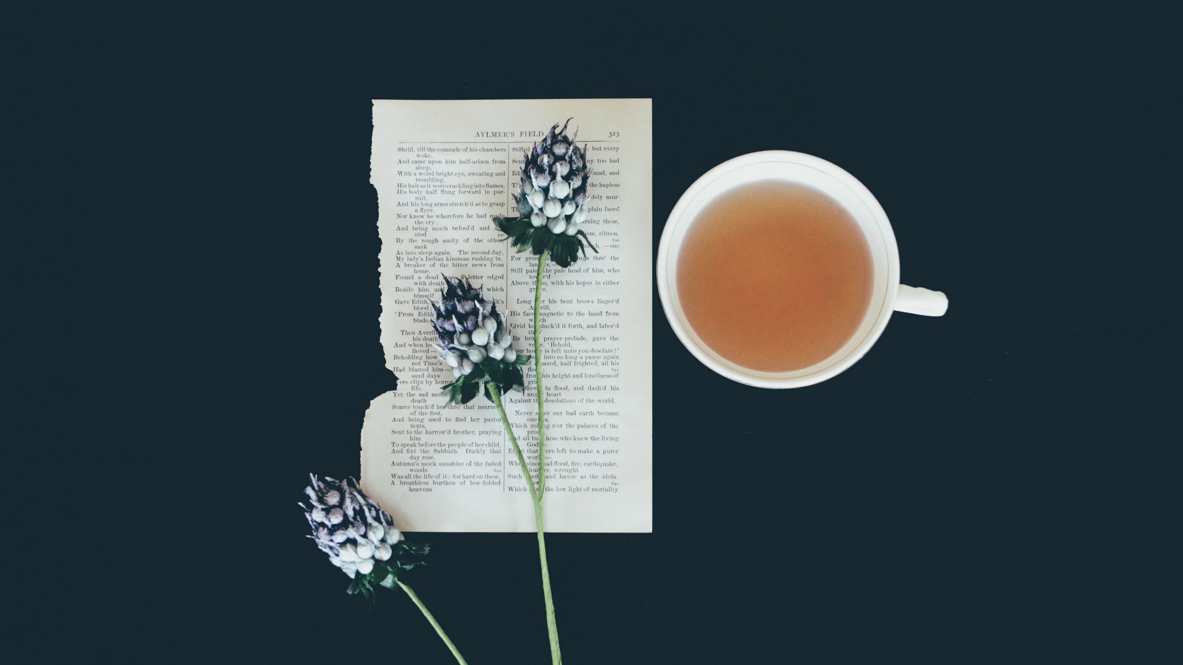 flowers, page, cup, 4k, HD Wallpaper