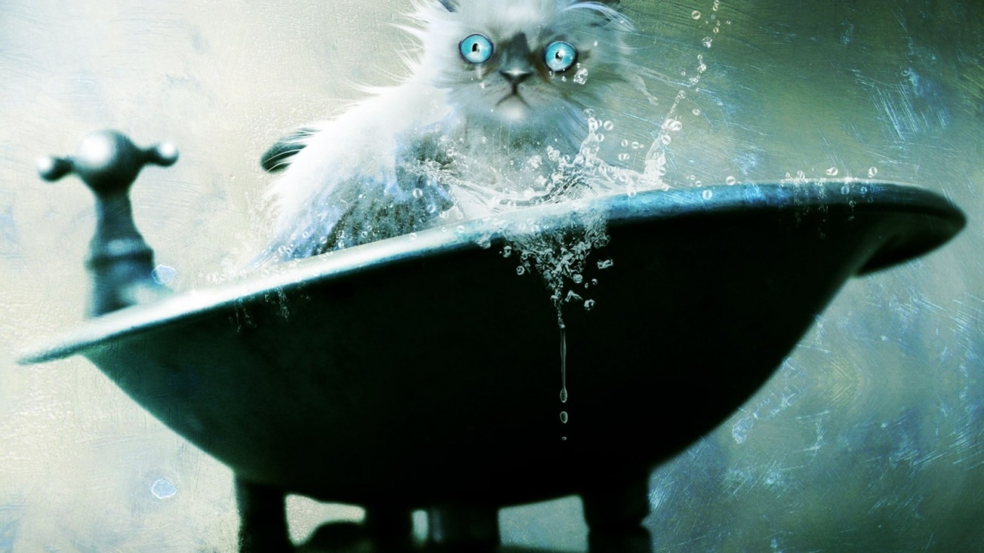 tub, crazy, painting, bath, cat, HD Wallpaper