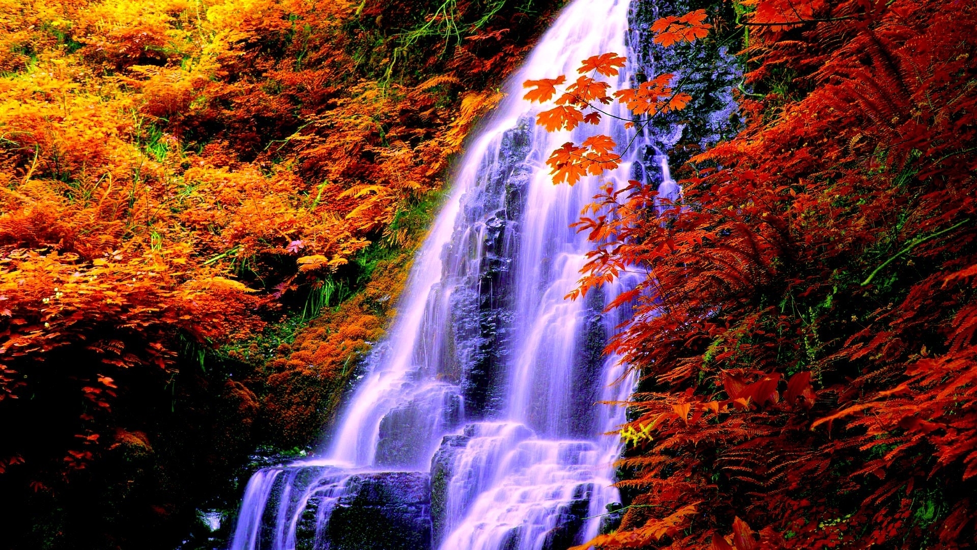 fall, rocks, plants, waterfall, branches, autumn, foliage, HD Wallpaper