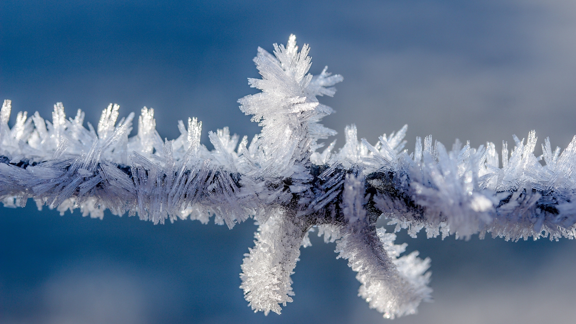 crystals, ice, nature, white, branch, blue, frost, winter, weather, HD Wallpaper
