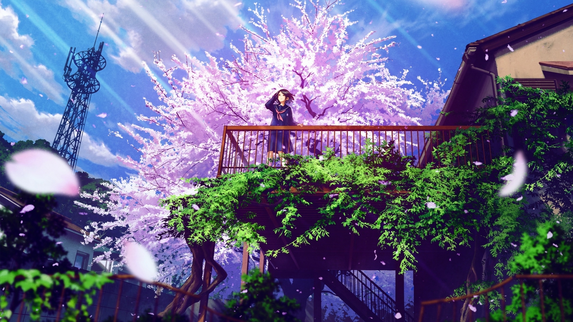 technoheart, manga, spring, tree, blossom, girl, green, purple, anime, petals, pink, blue, HD Wallpaper