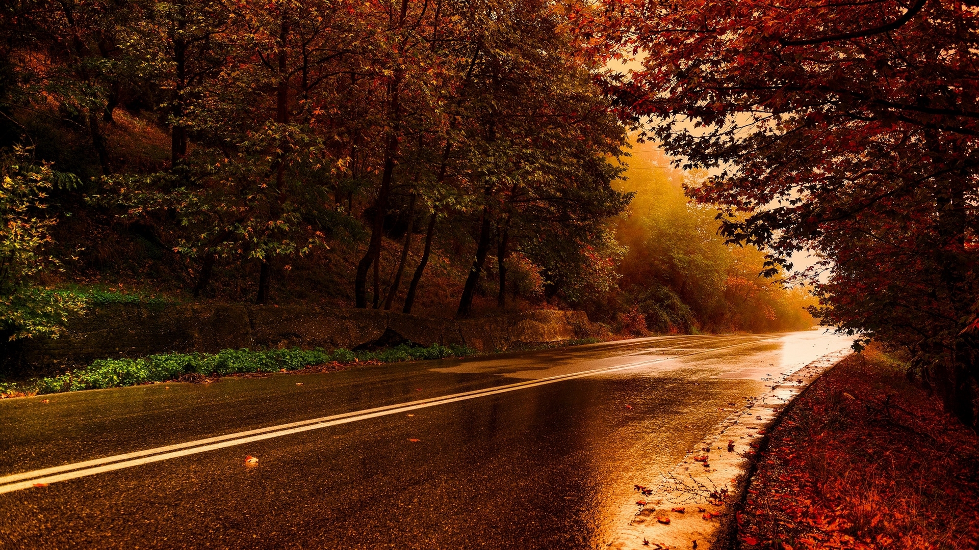 fall, leave, trees, nature, HD Wallpaper