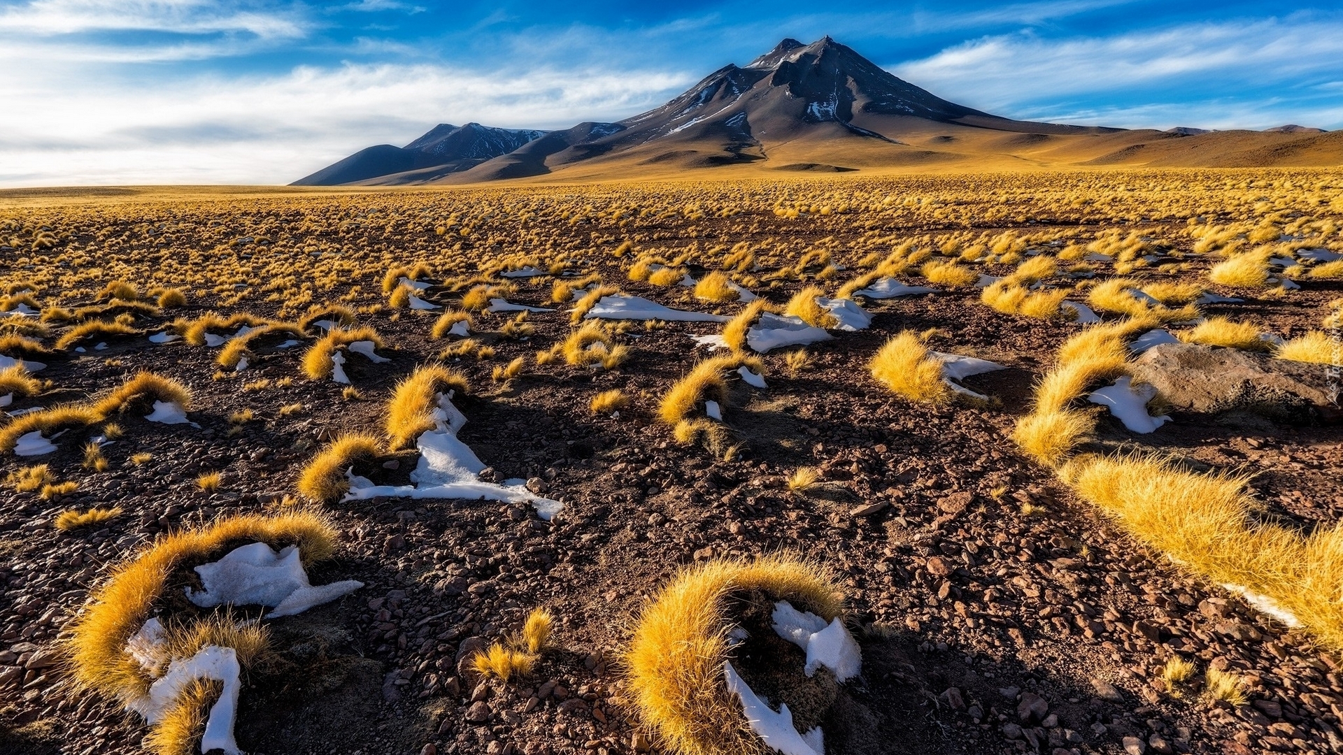 mountain, desert, chile, plants, nature, HD Wallpaper
