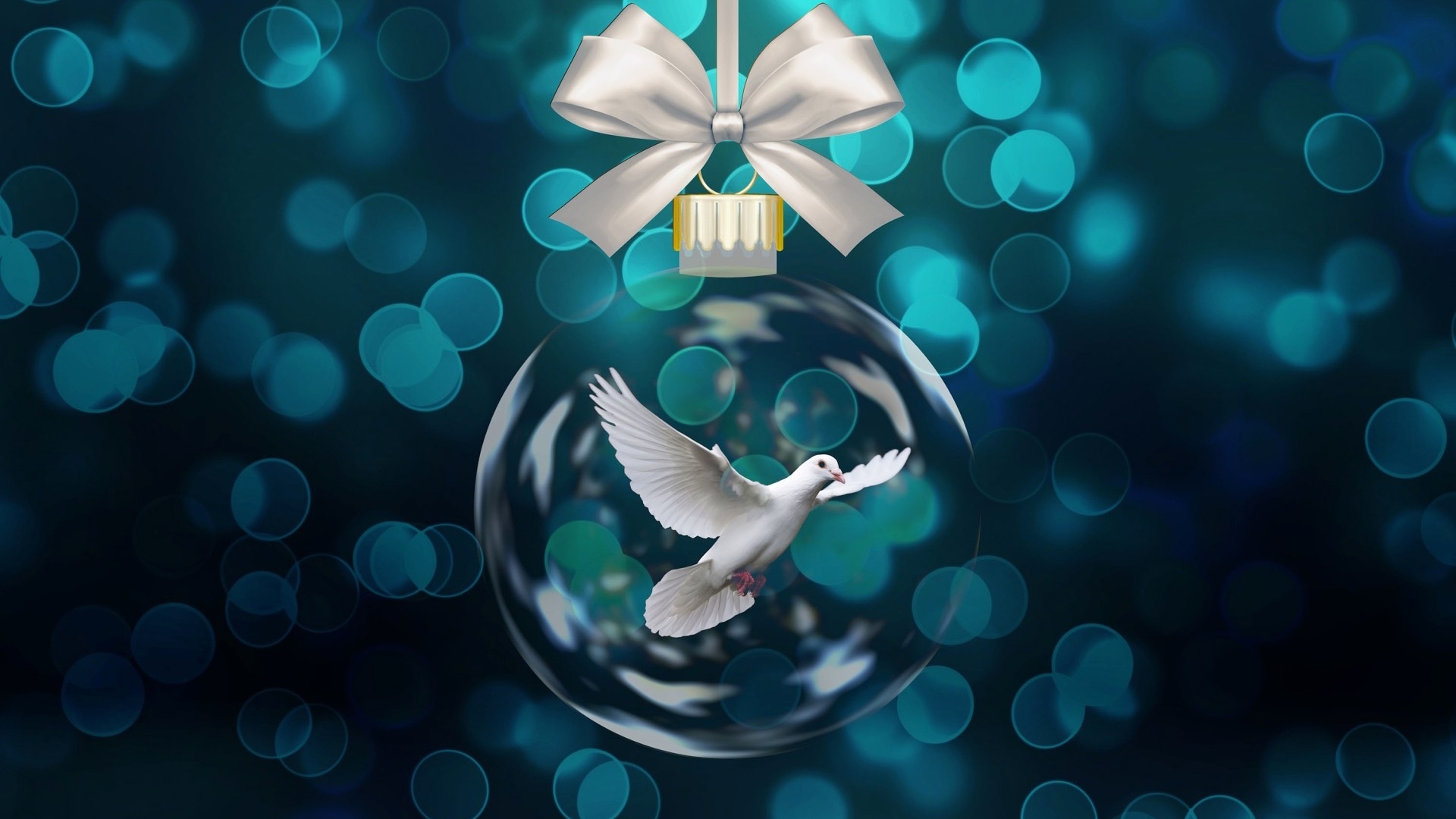 christmas, craciun, bird, dove, peace, white, blue, card, bokeh, HD Wallpaper