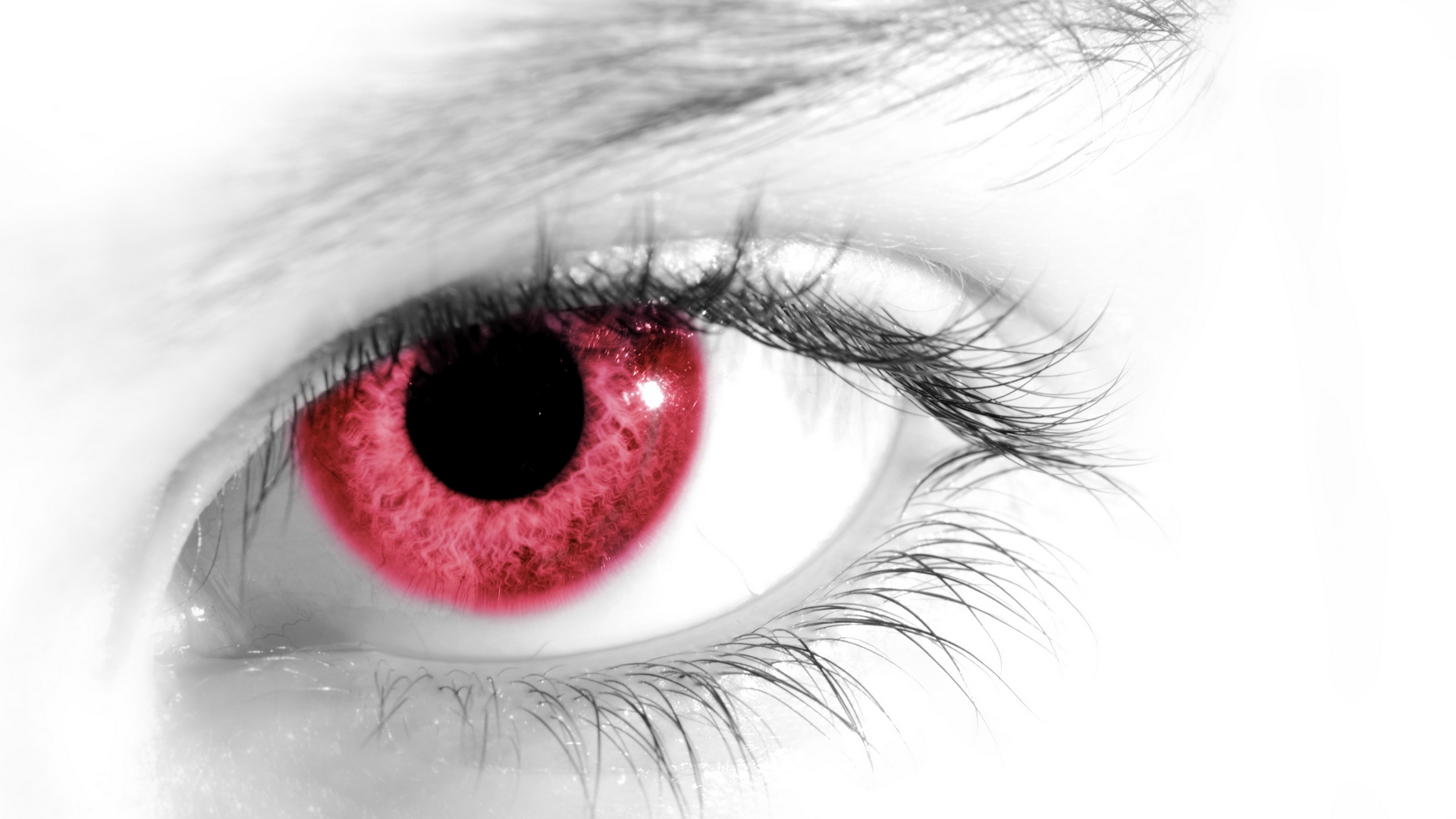 red, white, eyes, eye, HD Wallpaper