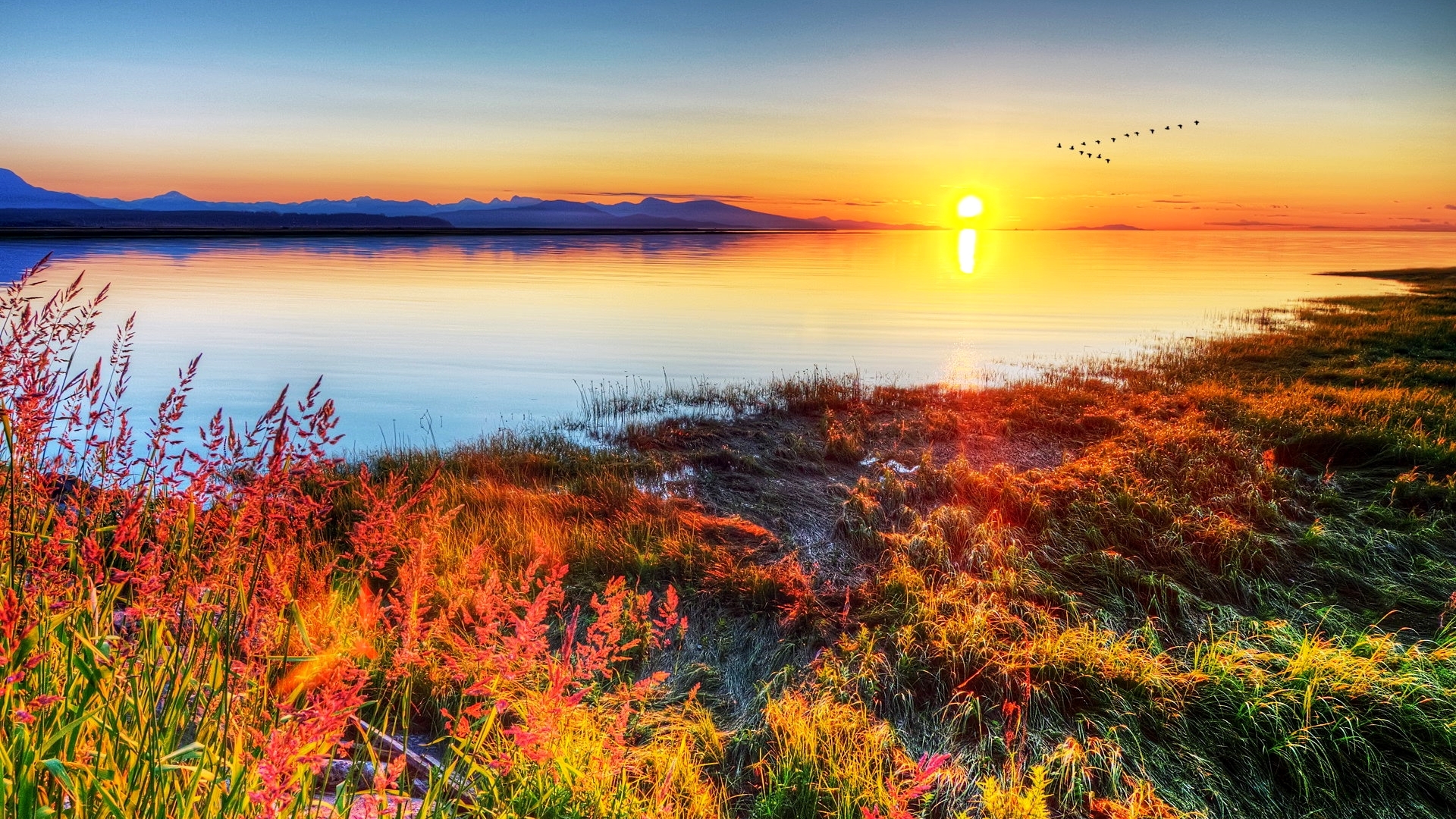 mountain, beach, shore, plants, ocean, sunset, light, HD Wallpaper