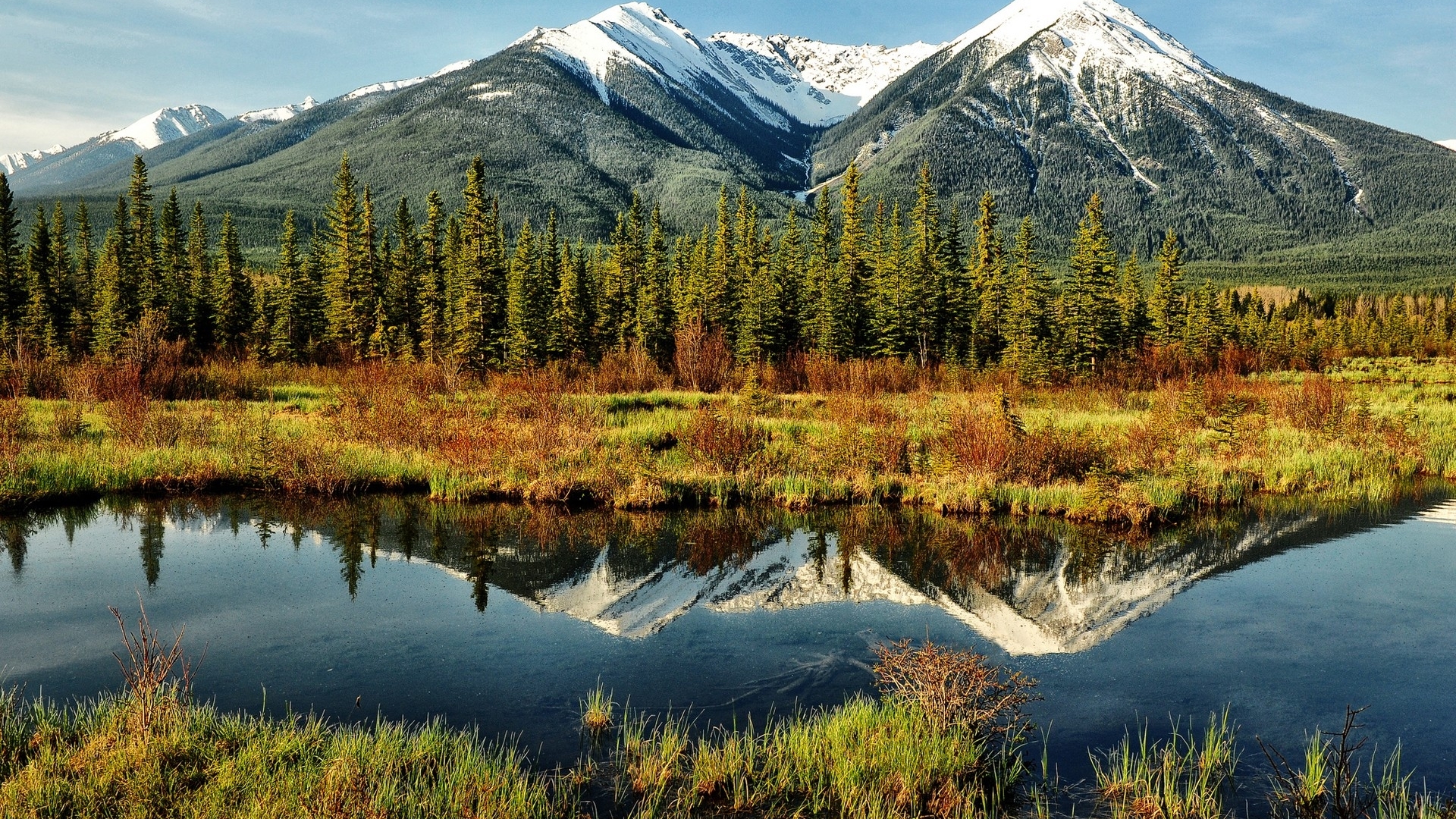 mountain, nature, trees, landscape, HD Wallpaper