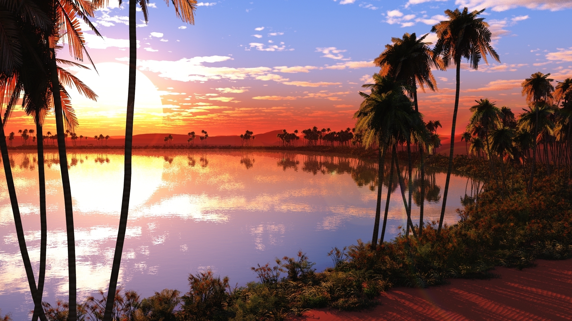 sunset, tree, oasis, grass, HD Wallpaper