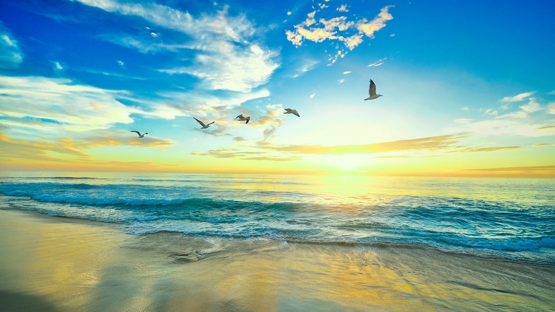nature, sky, ocean, flight, HD Wallpaper