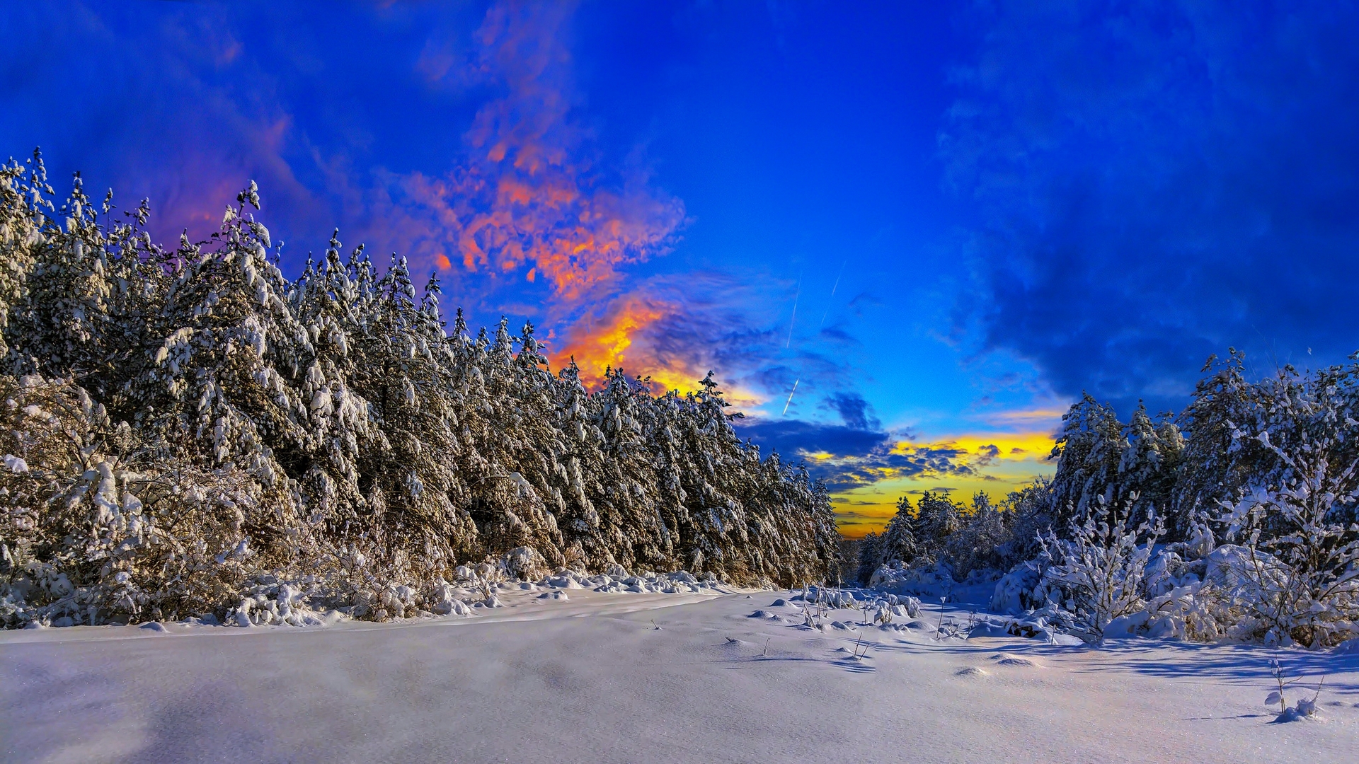 forest, beautiful, trees, sky, ski, winter, mountain, snow, slope, landscape, frost, HD Wallpaper