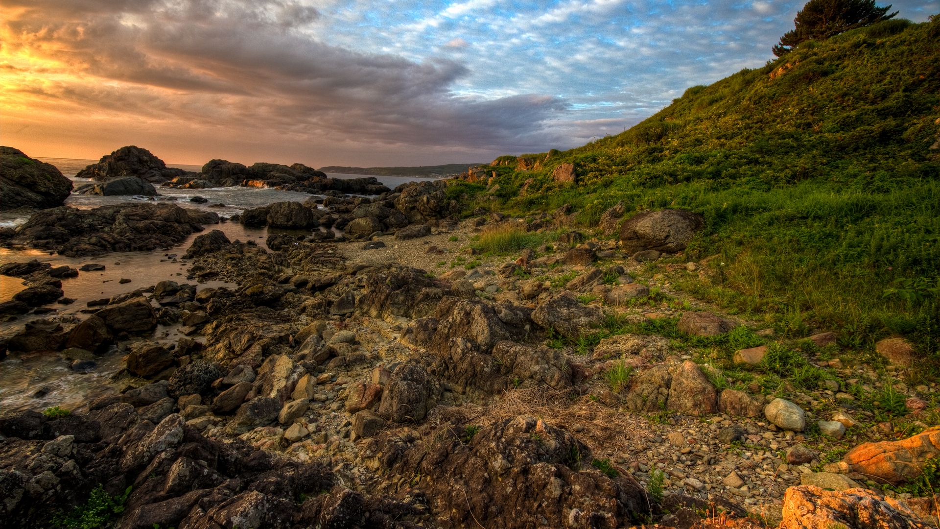 cloud, grass, rocky, colors, surf, beautiful, sky, beach, tree, calm, nature, coastline, hill, HD Wallpaper