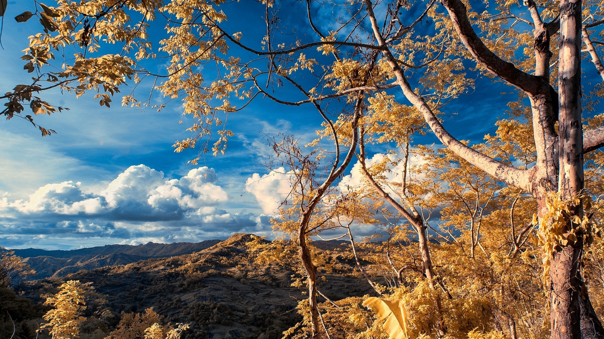 mountain, sky, autumn, nature, HD Wallpaper