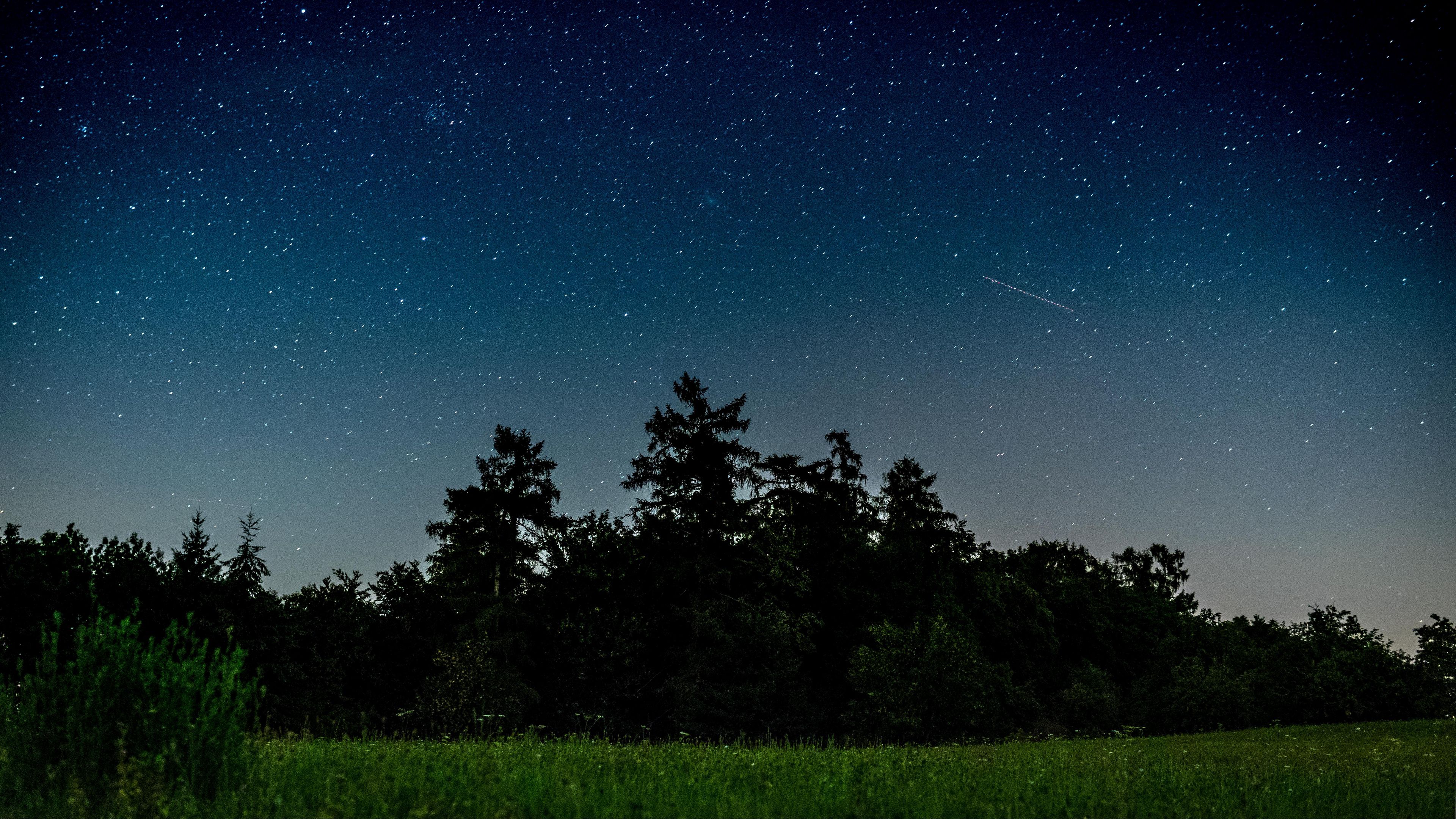 starry sky, trees, night, field, 4k, HD Wallpaper