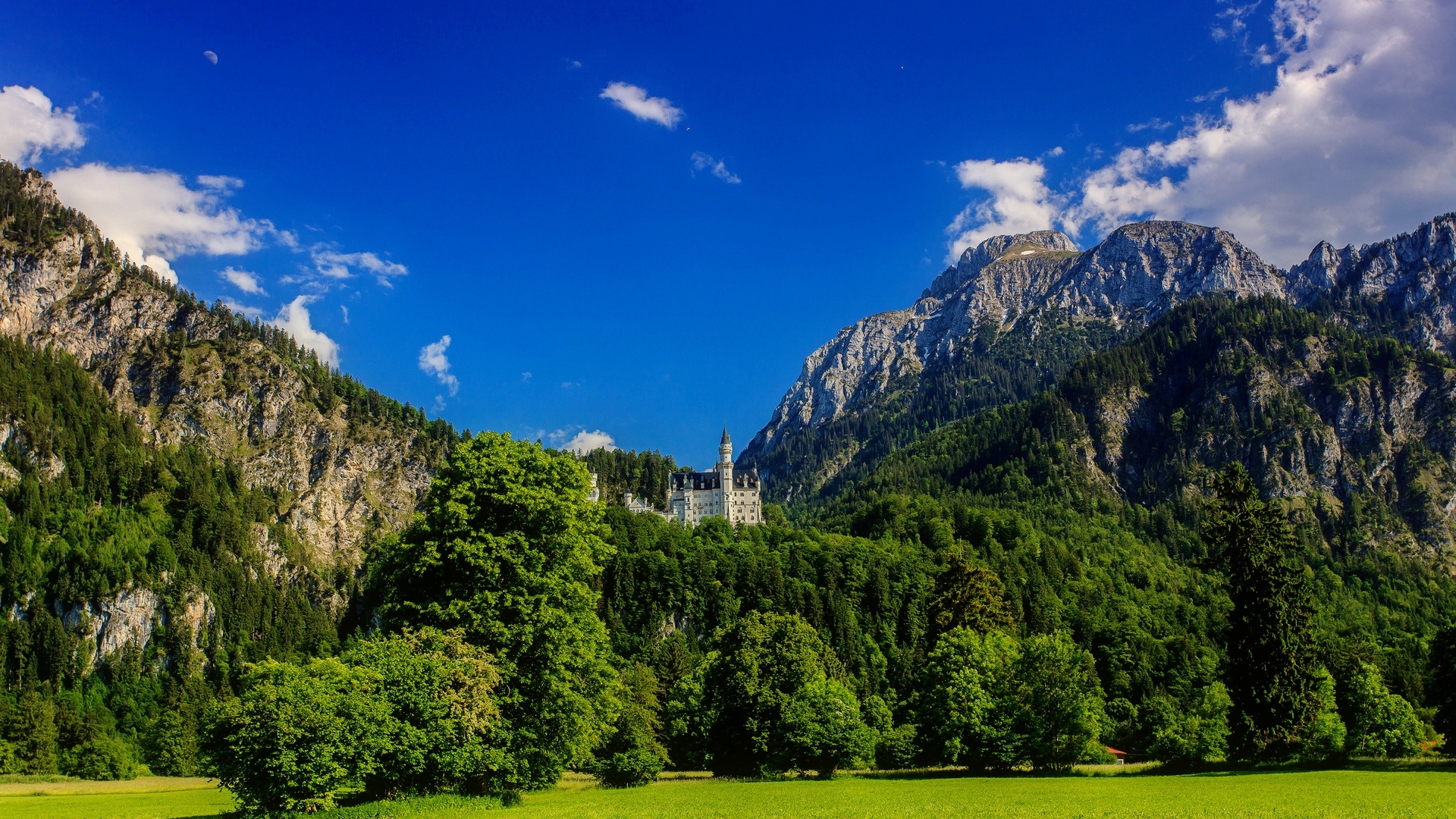 forest, rocks, bavaria, grass, germany, trees, sky, mountain, neuschwanstein, summer, castle, HD Wallpaper