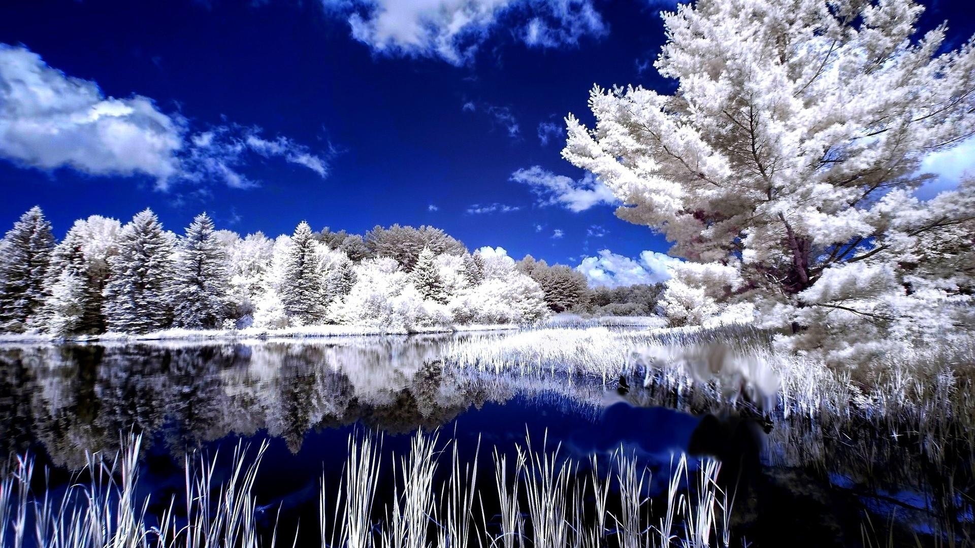 snow, nature, reflection, trees, clouds, lake, winter, HD Wallpaper