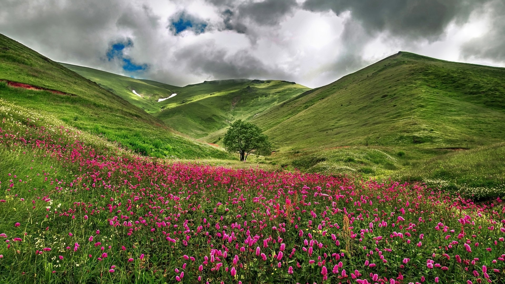mountains, sky, clouds, meadows, flowers, hills, nature, HD Wallpaper
