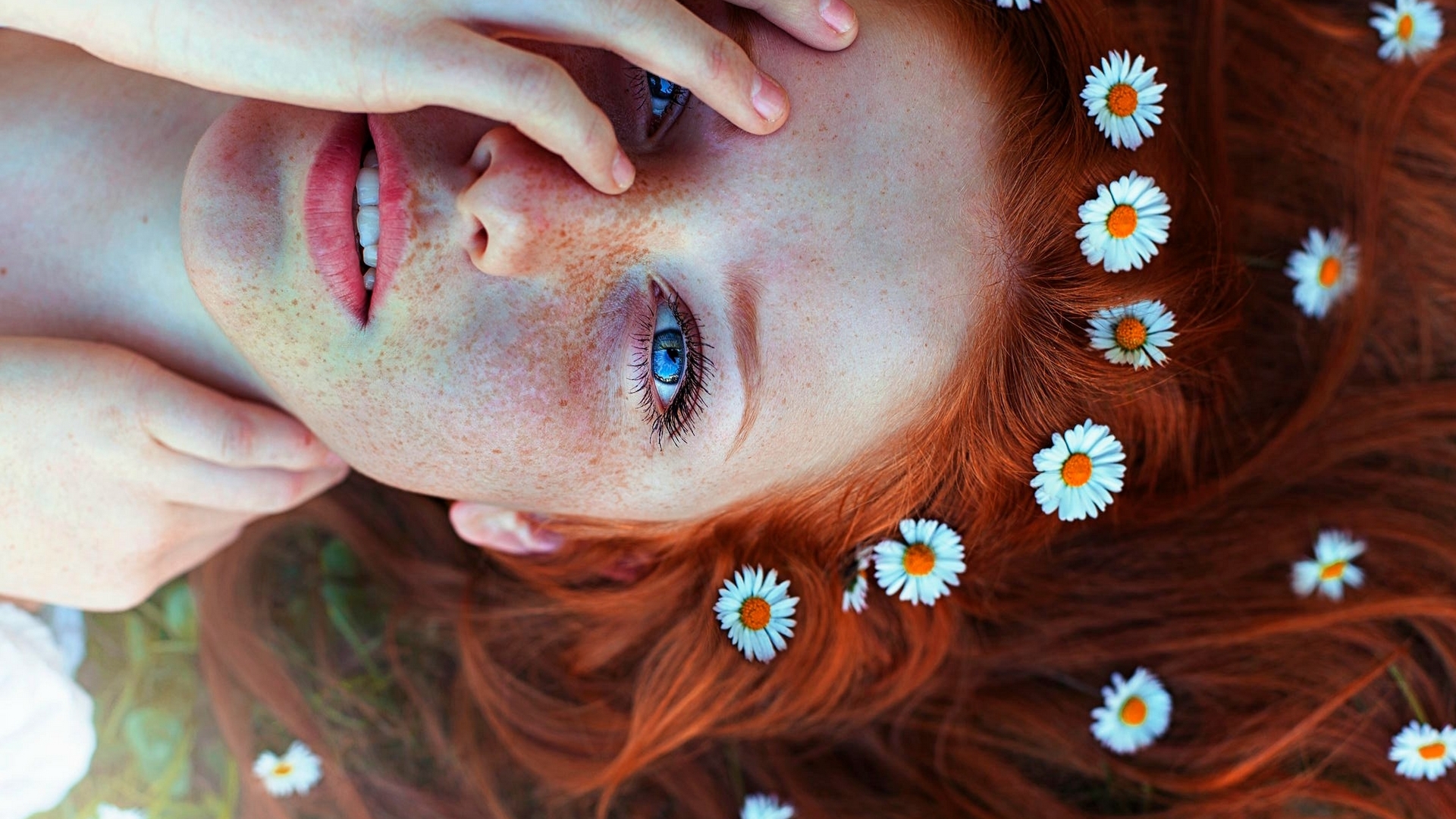 model, redhead, eye, freckles, woman, girl, hand, flower, beauty, face, daisy, HD Wallpaper