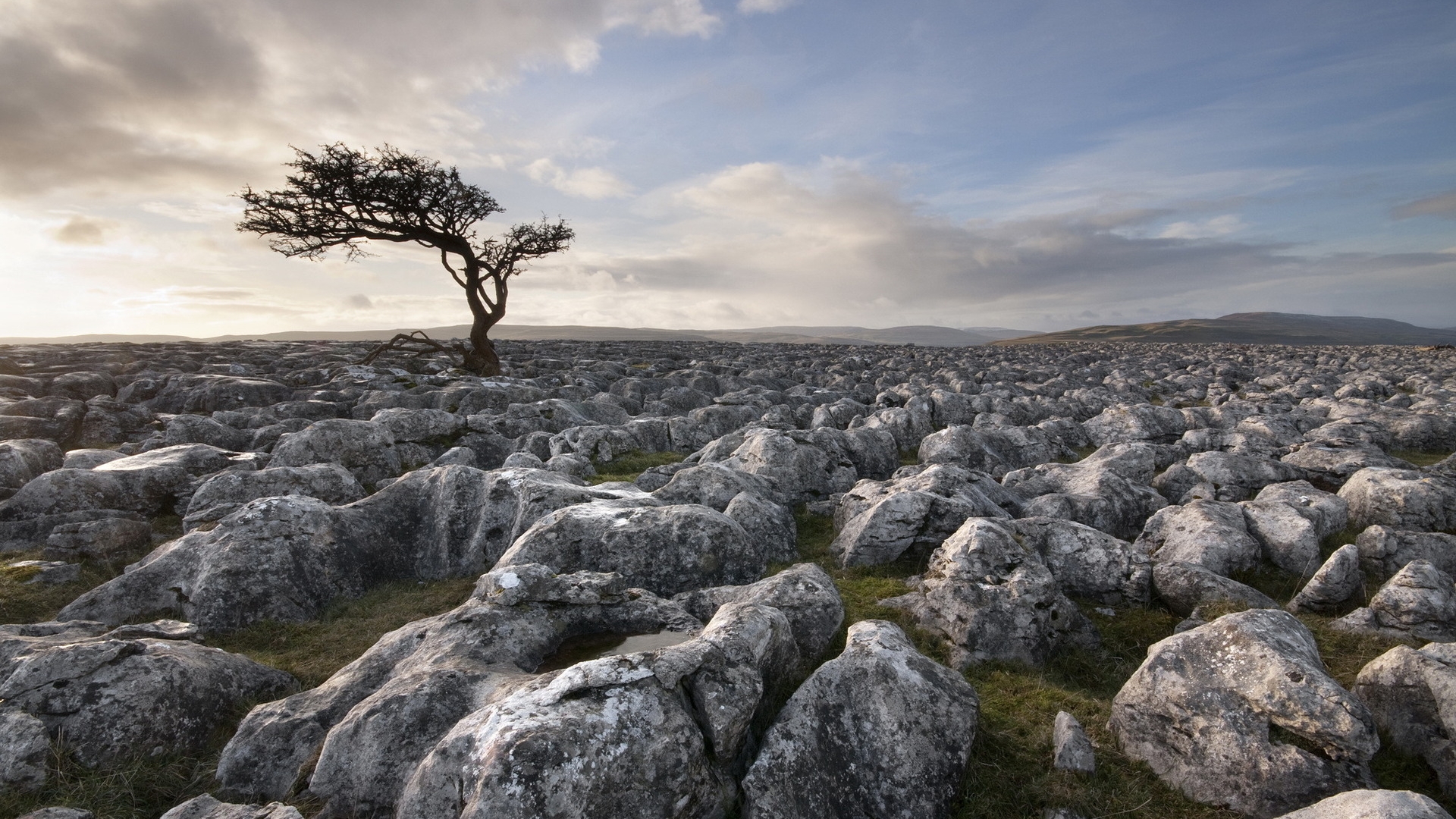 tree, stone, nature, clouds, sky, loner, HD Wallpaper