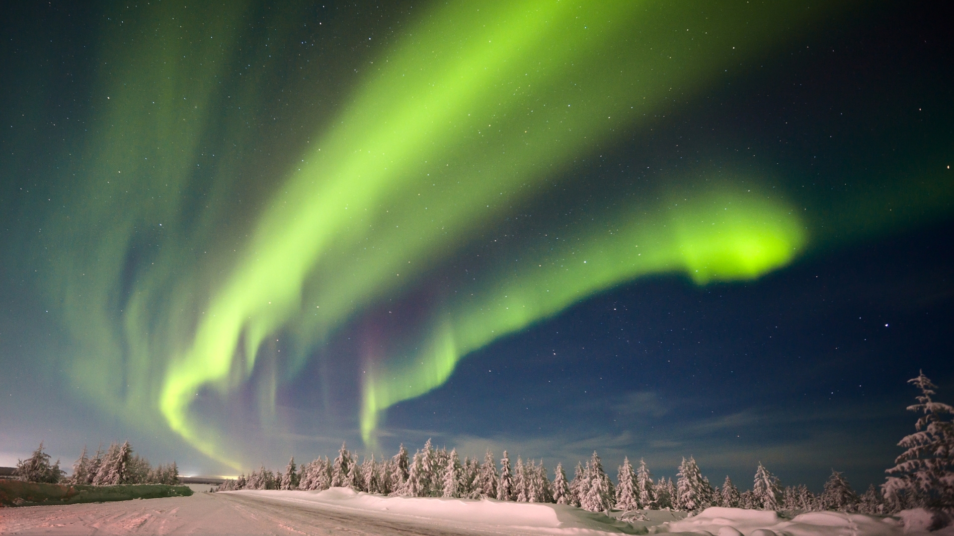 aurora, borealis, snow, nature, sky, winter, HD Wallpaper