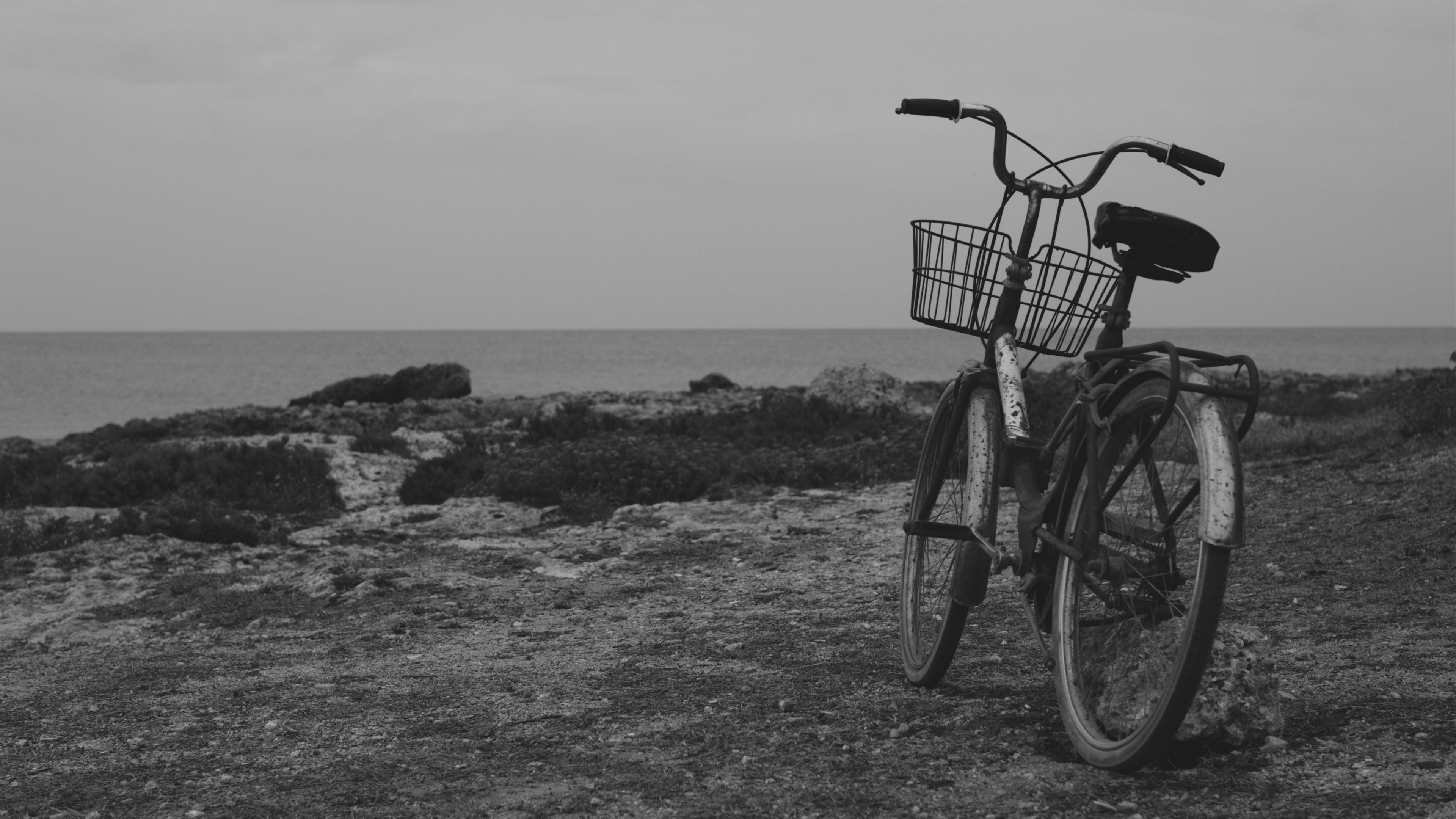 bicycle, bw, old, 4k, HD Wallpaper