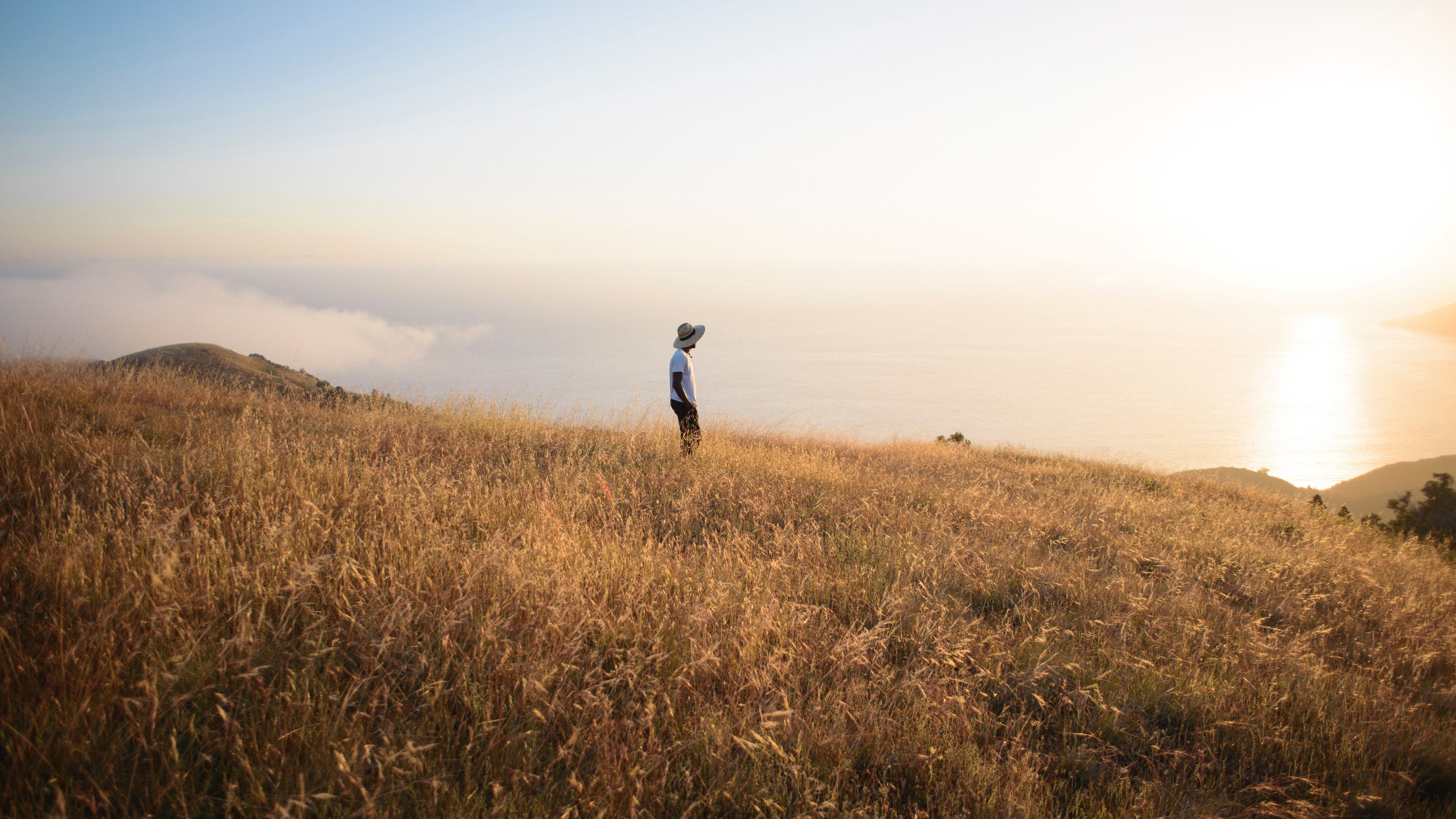 field, loneliness, solitude, grass, big sur, 4k, HD Wallpaper