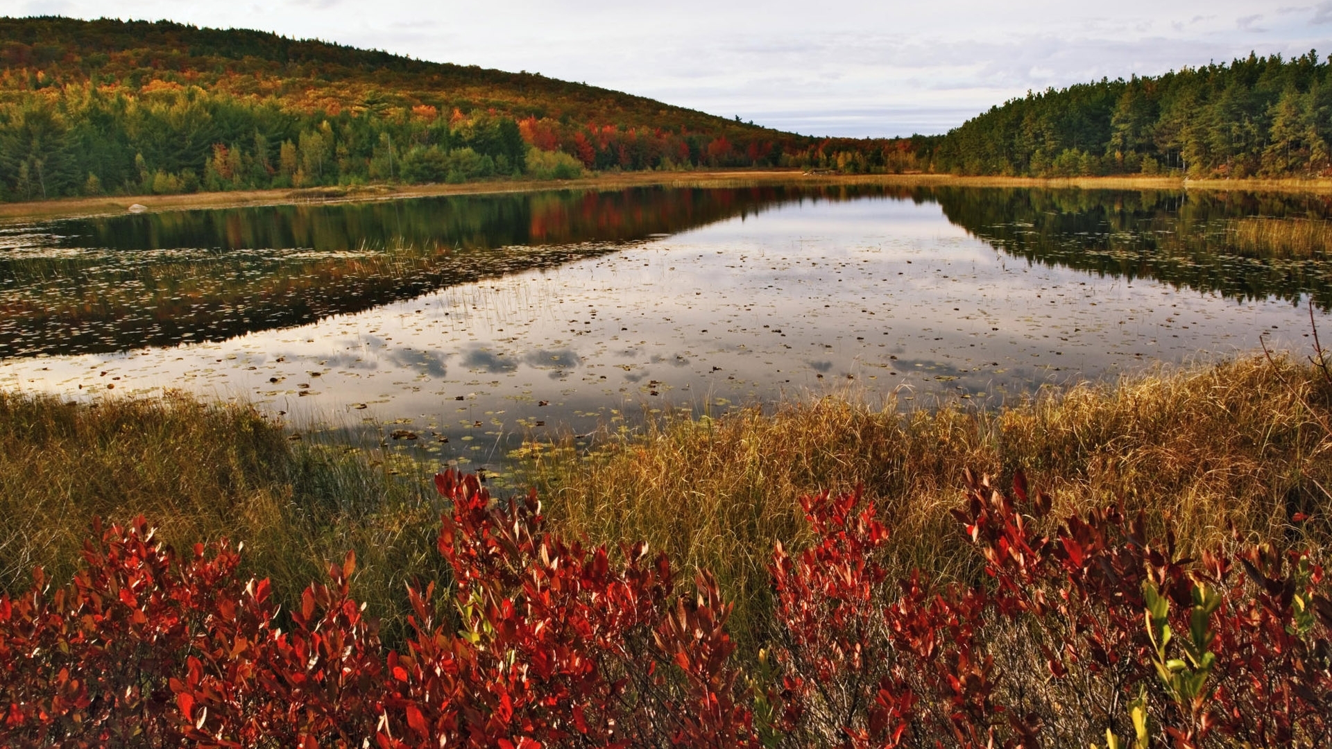 national, acadia, maine, park, HD Wallpaper