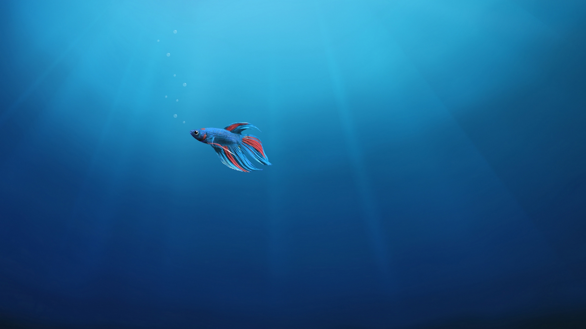 windows, water, alone, abstract, under, HD Wallpaper