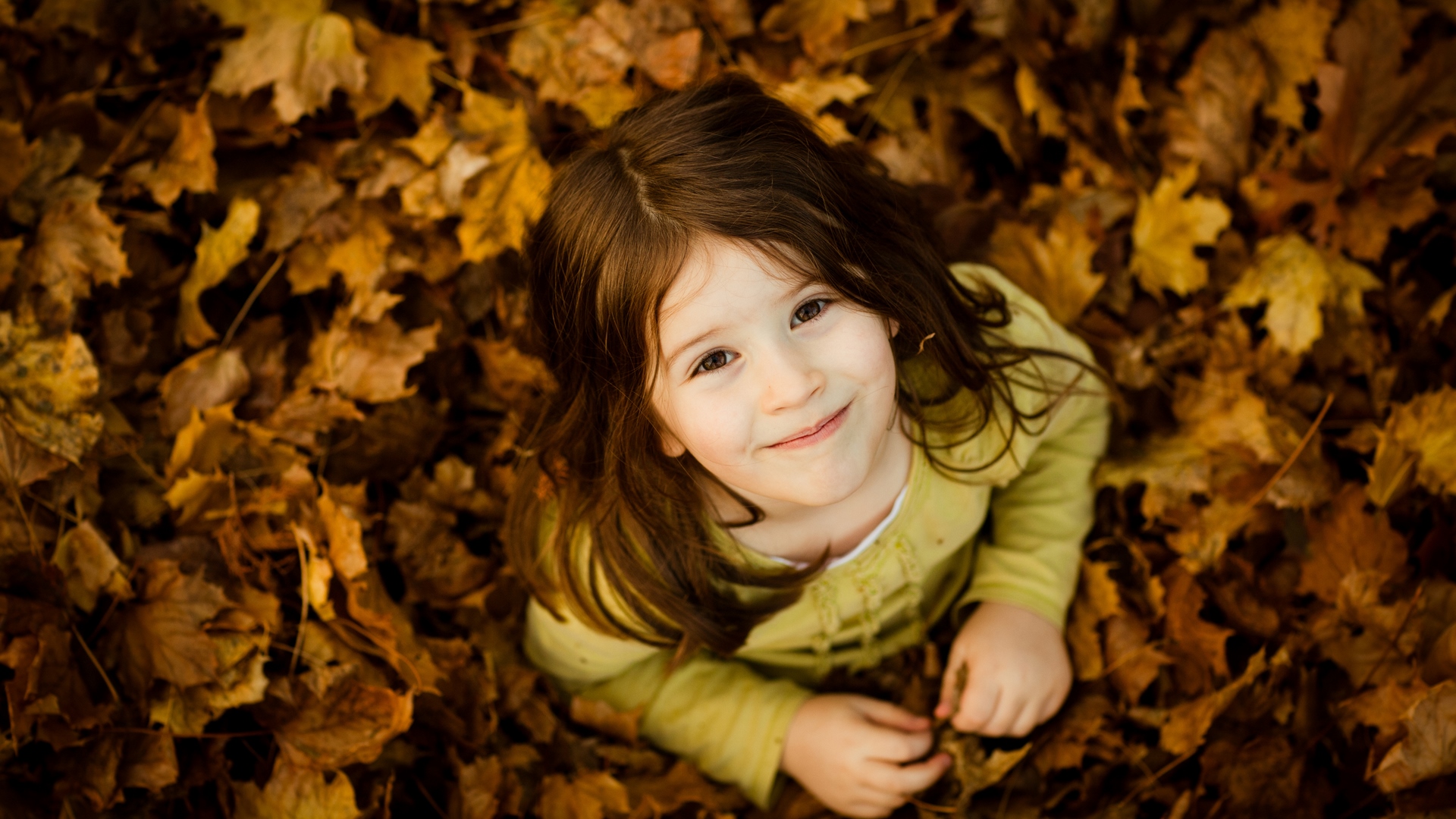 brunette, autumn, girl, simply, rust, smile, leaf, HD Wallpaper