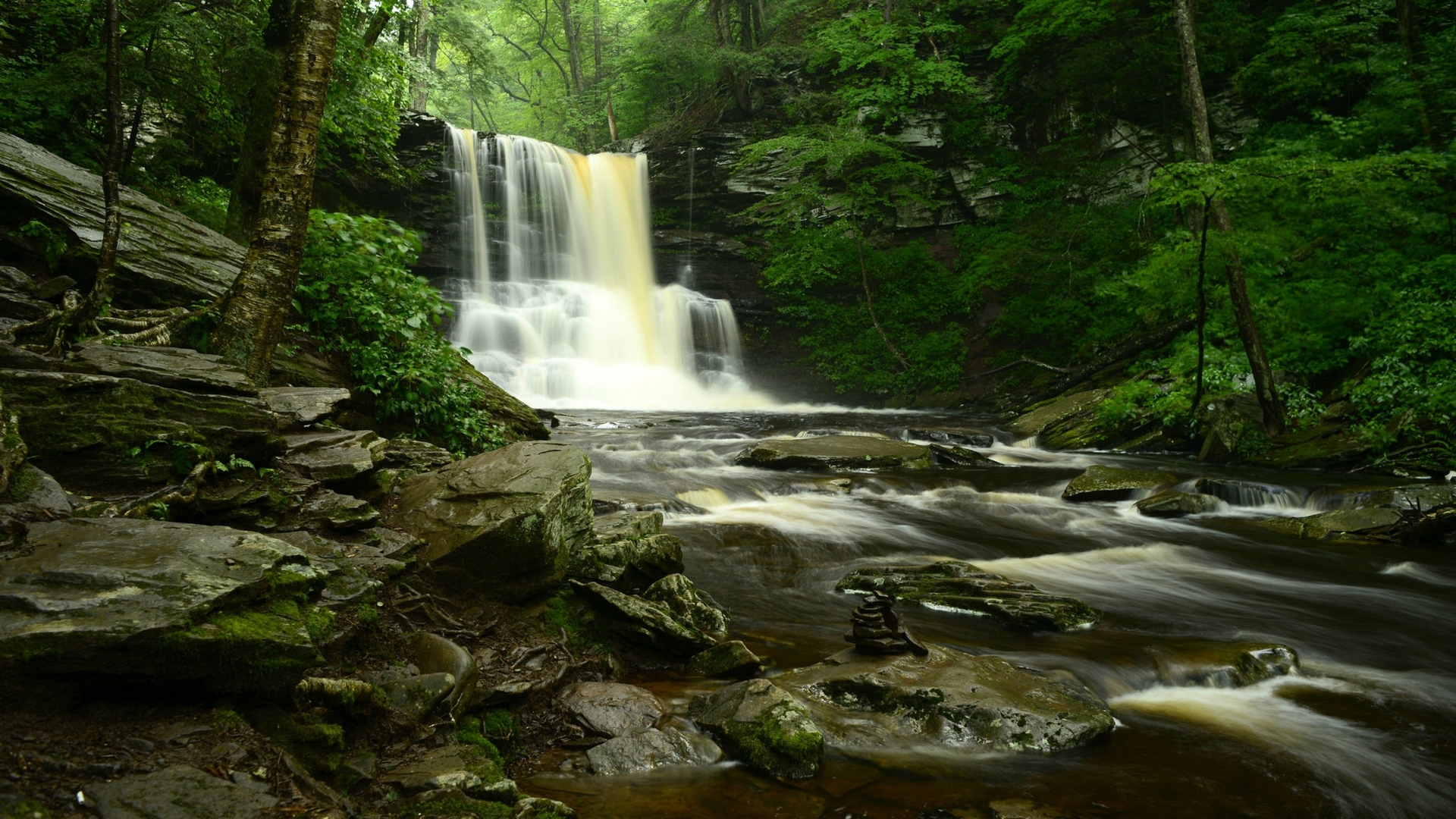 waterfall, forest, nature, usa, HD Wallpaper