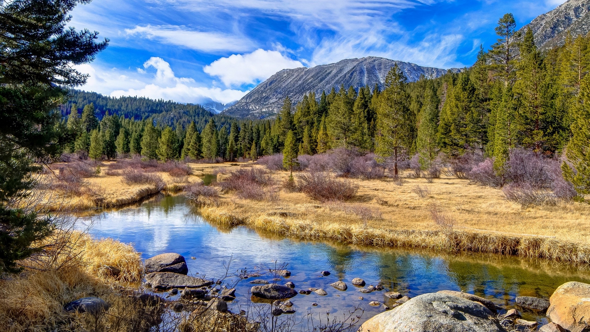 forest, cloud, sky, mountain, tree, water, peak, lake, river, HD Wallpaper