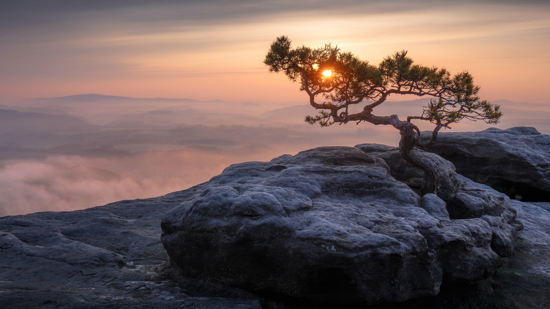 rocks, sunset, tree, nature, HD Wallpaper