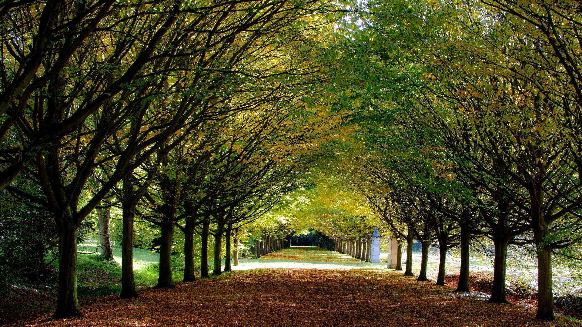 path, garden, nature, beautiful, forests, trees, leafs, HD Wallpaper