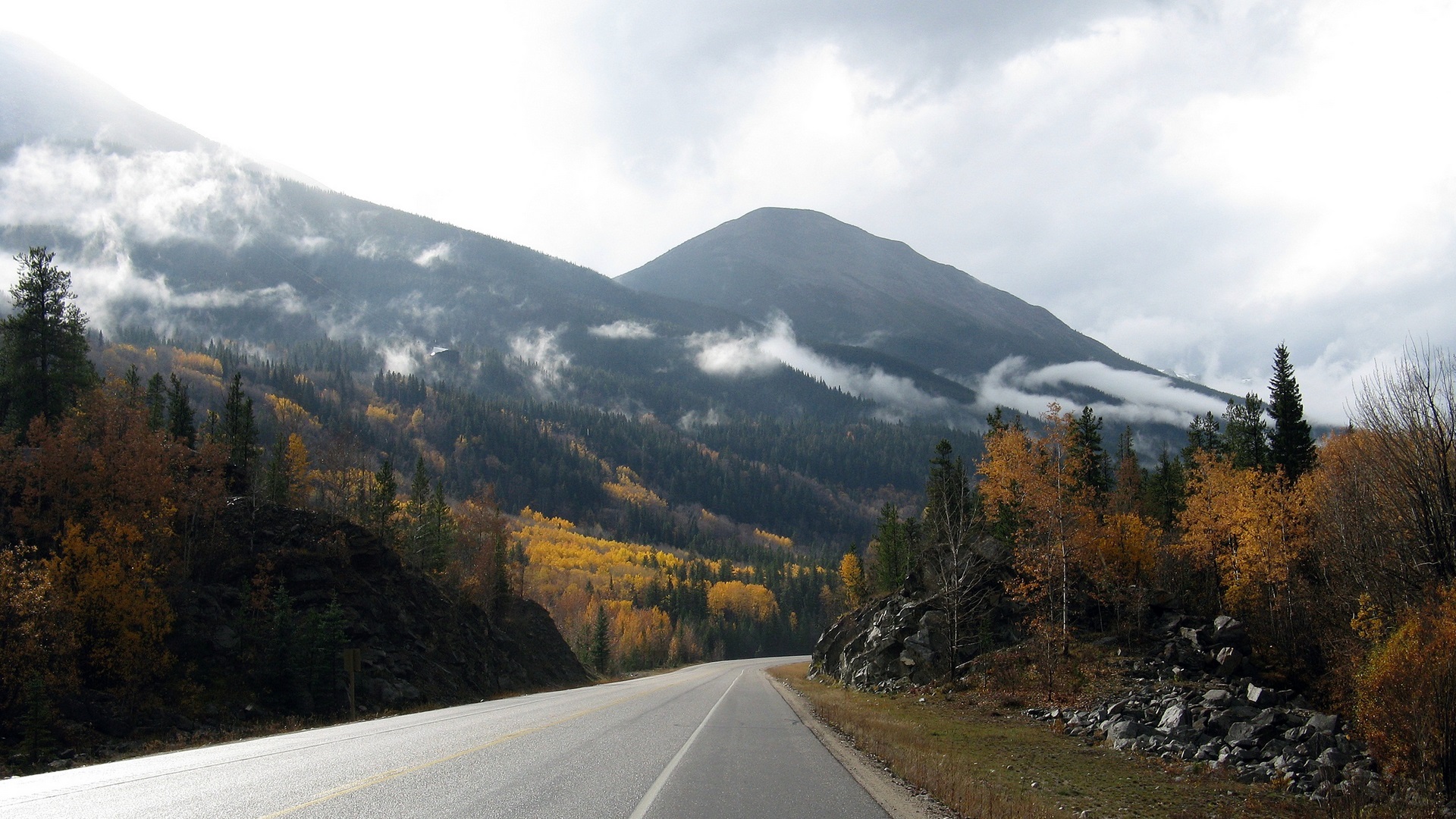 autumn, colors, beautiful, overcast, clouds, forsests, mountain, low, nature, road, HD Wallpaper