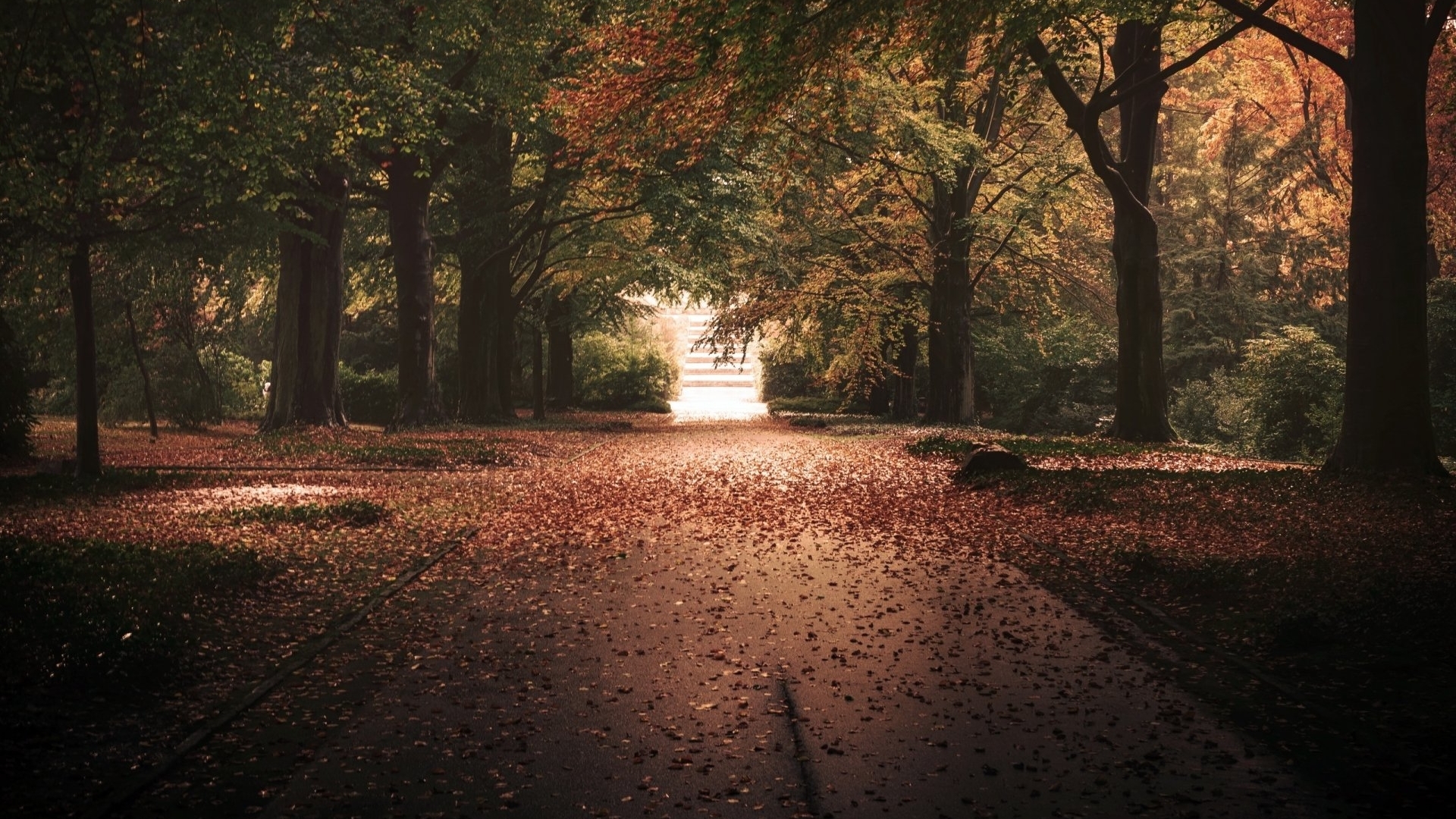 fall, parks, trees, landscapes, leaves, autumn, nature, HD Wallpaper