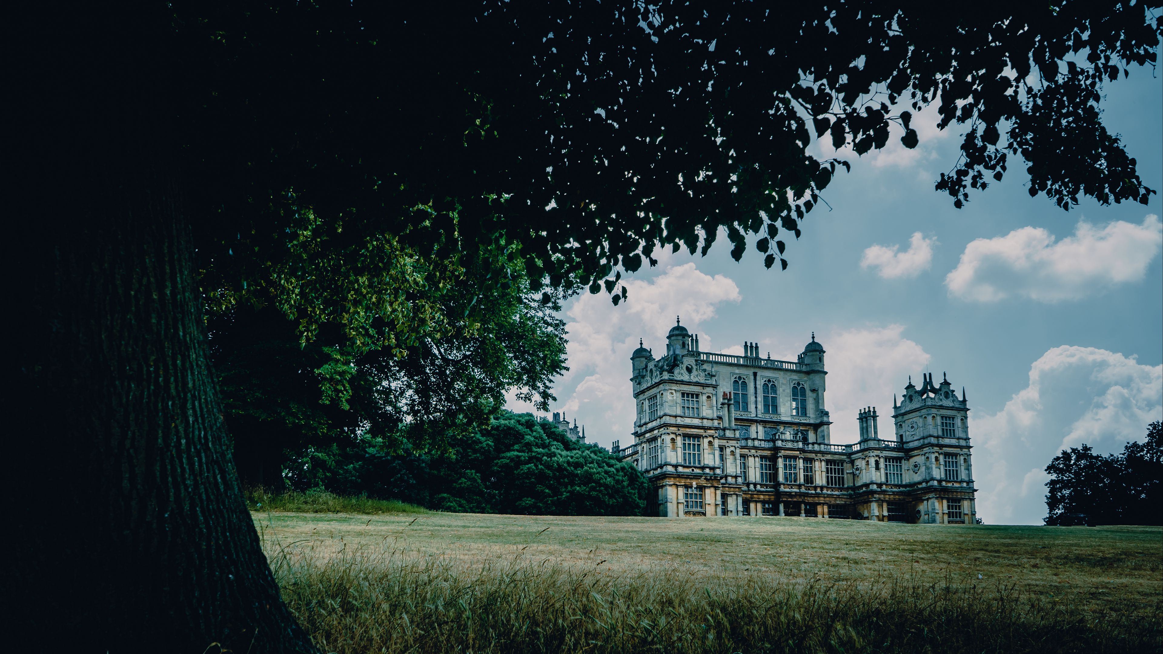 castle, palace, manor, nottingham, park, house, grass, tree, 4k, HD Wallpaper