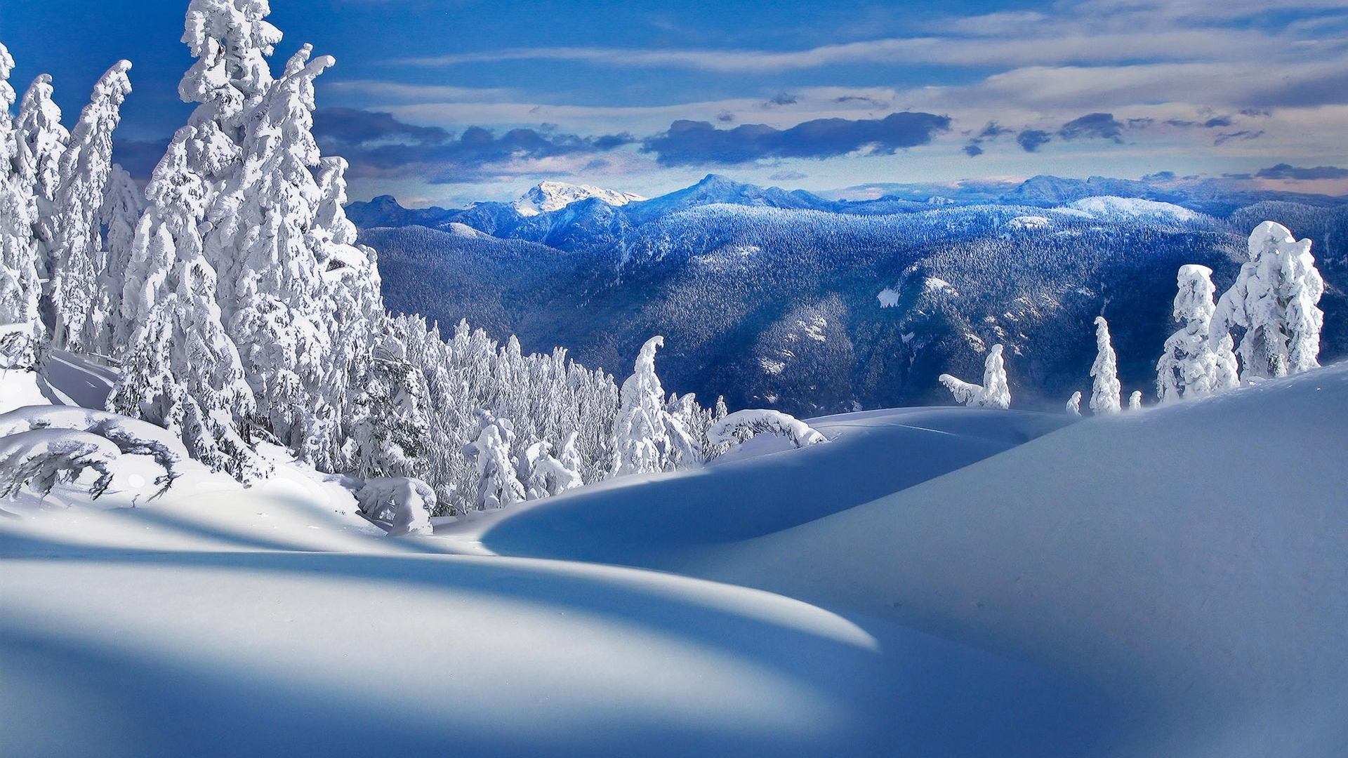 forest, mountains, trees, snow, hills, HD Wallpaper