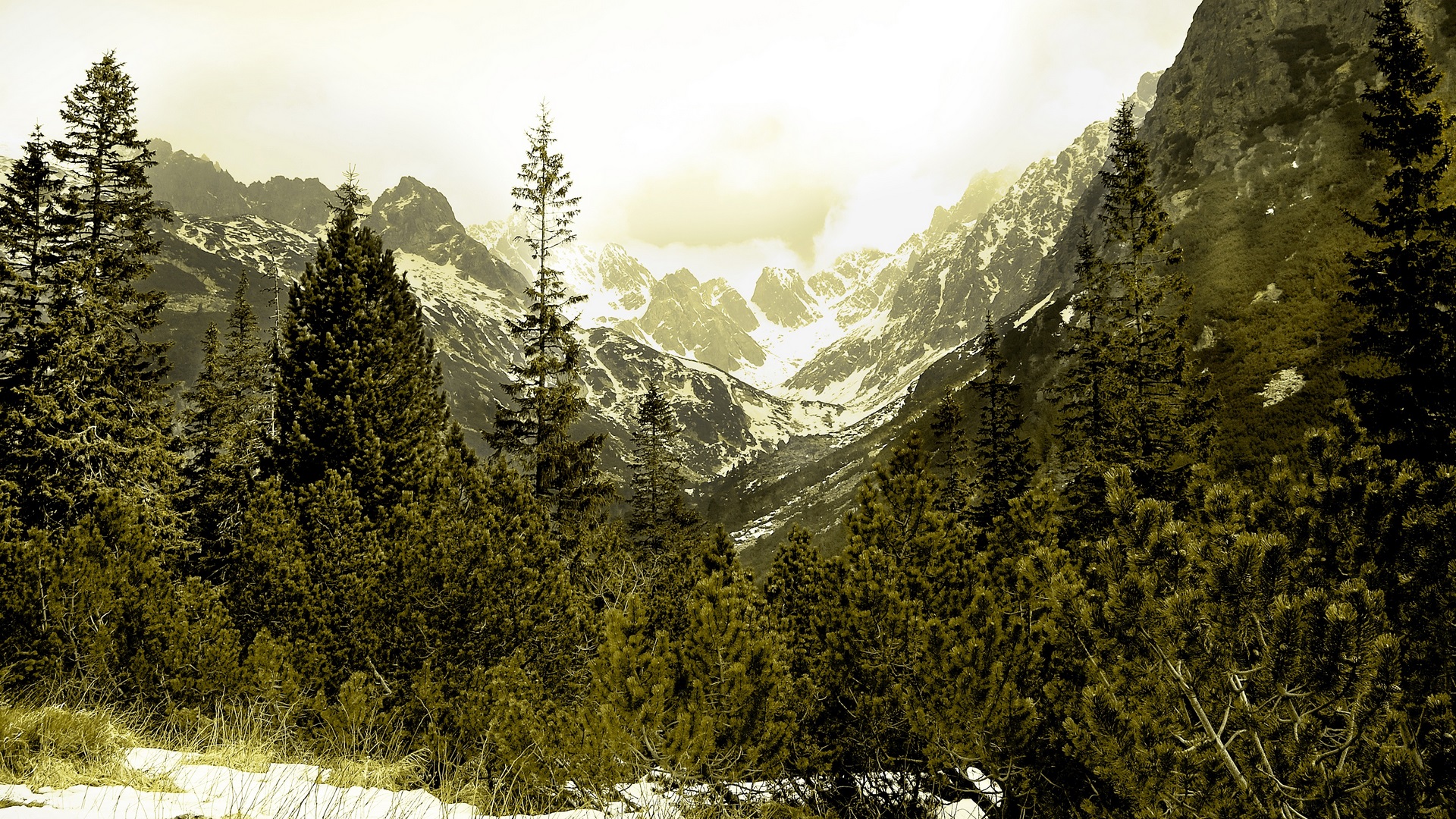 snow, mountains, nature, beautiful, forests, winter, HD Wallpaper