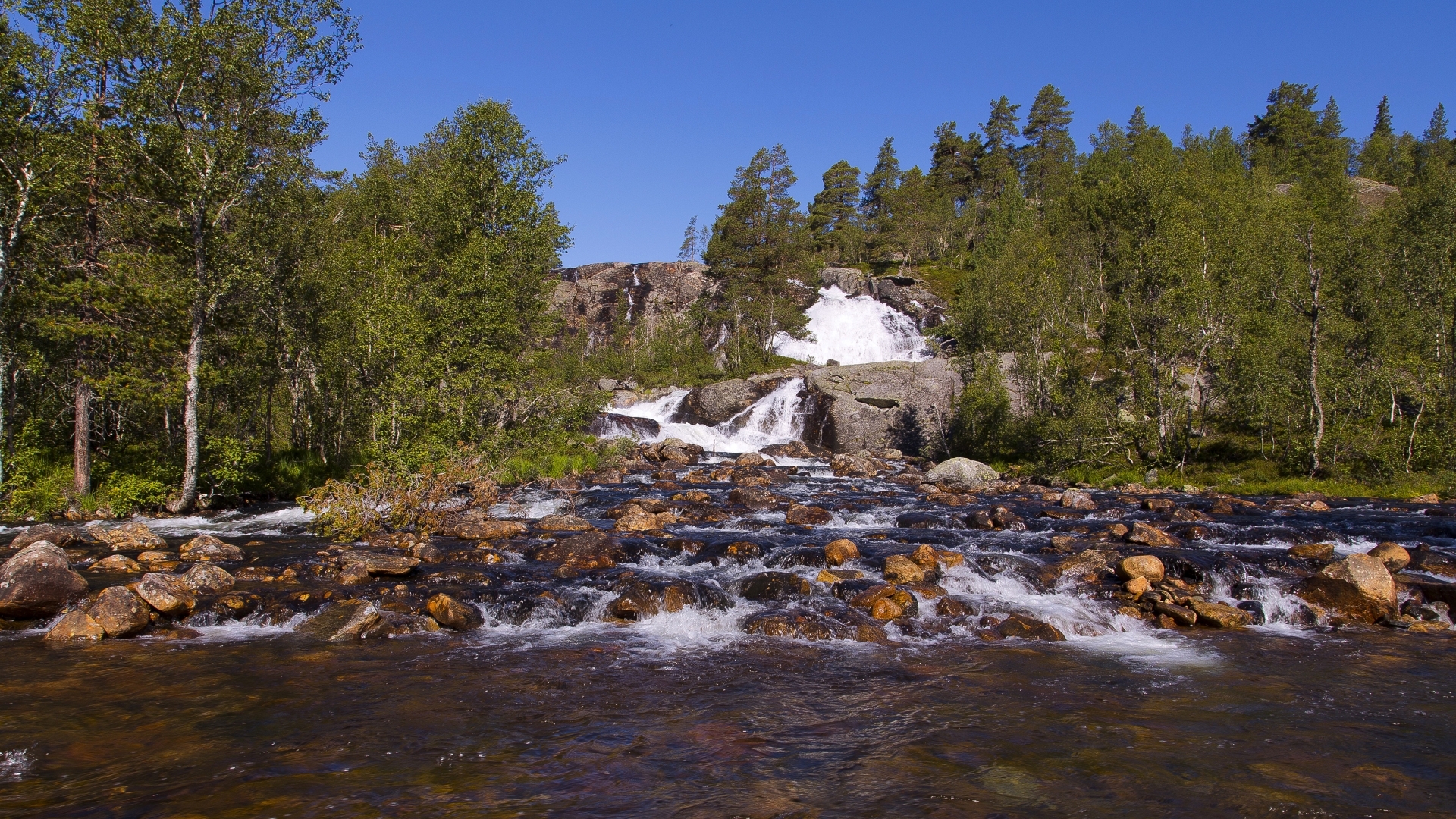 waterfalls, forests, rocks, rivers, nature, HD Wallpaper