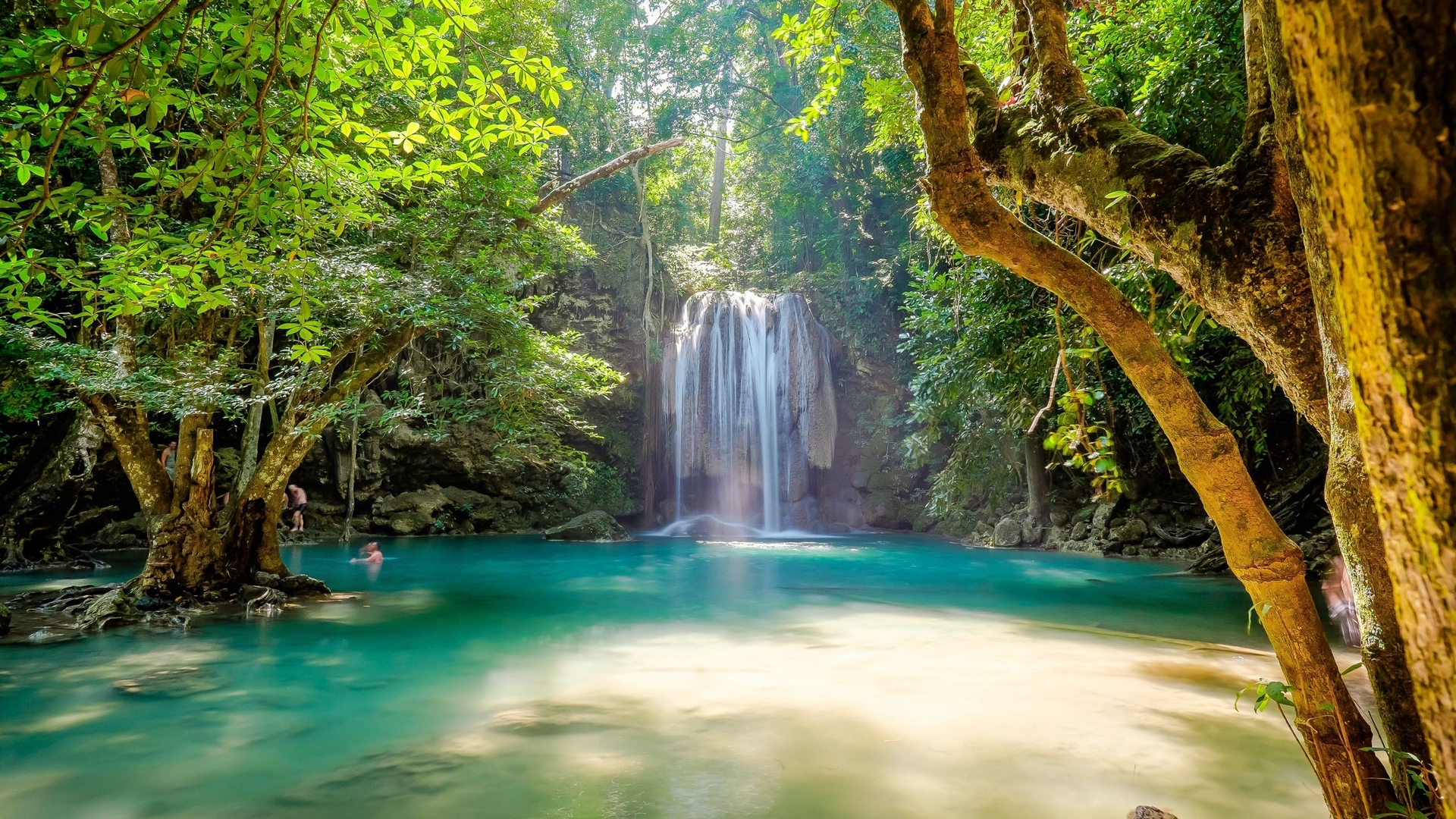 forest, water, river, sunshine, cascade, HD Wallpaper