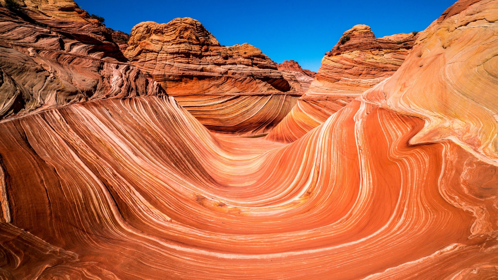 nature, usa, canyons, wave, HD Wallpaper