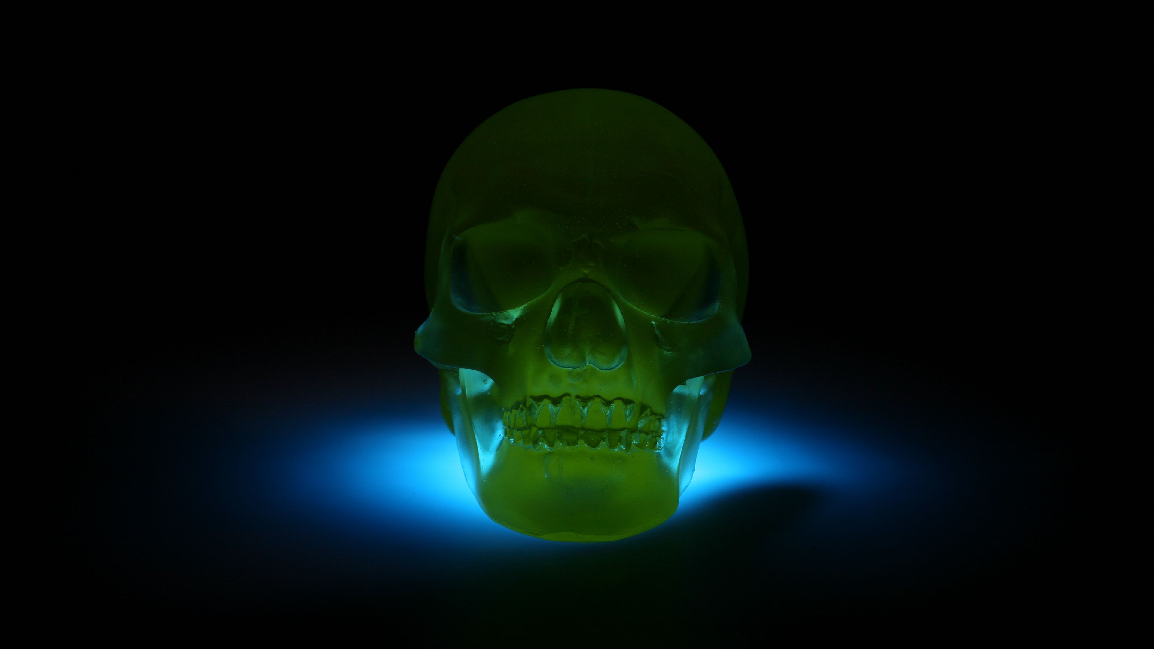 skull, 3d model, neon, shadow, 4k, HD Wallpaper