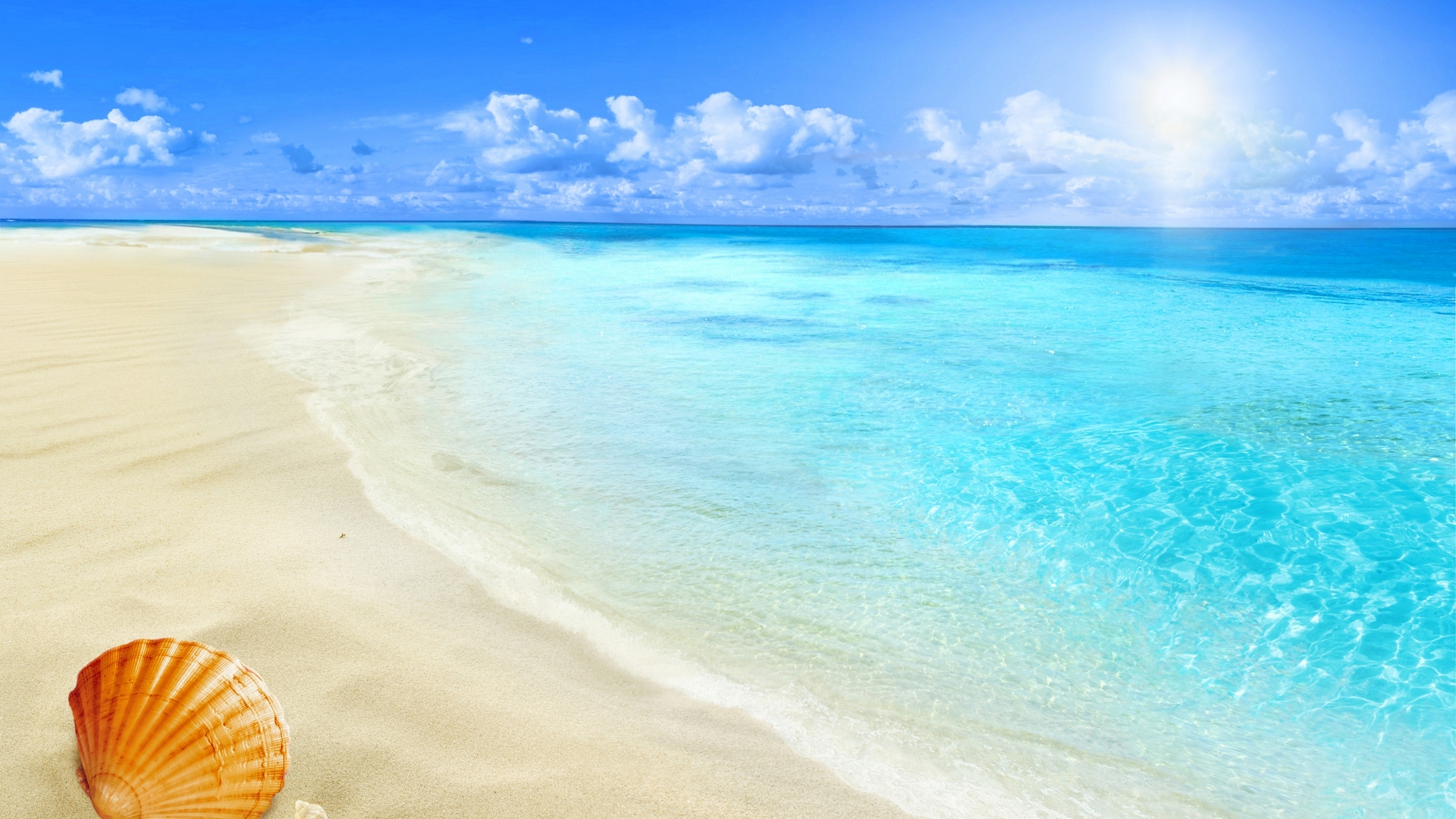shore, vacation, holidays, sun, ocean, sunlight, waves, sky, clouds, beach, seashell, paradise, summer, skyphoenixx1, sunshine, HD Wallpaper