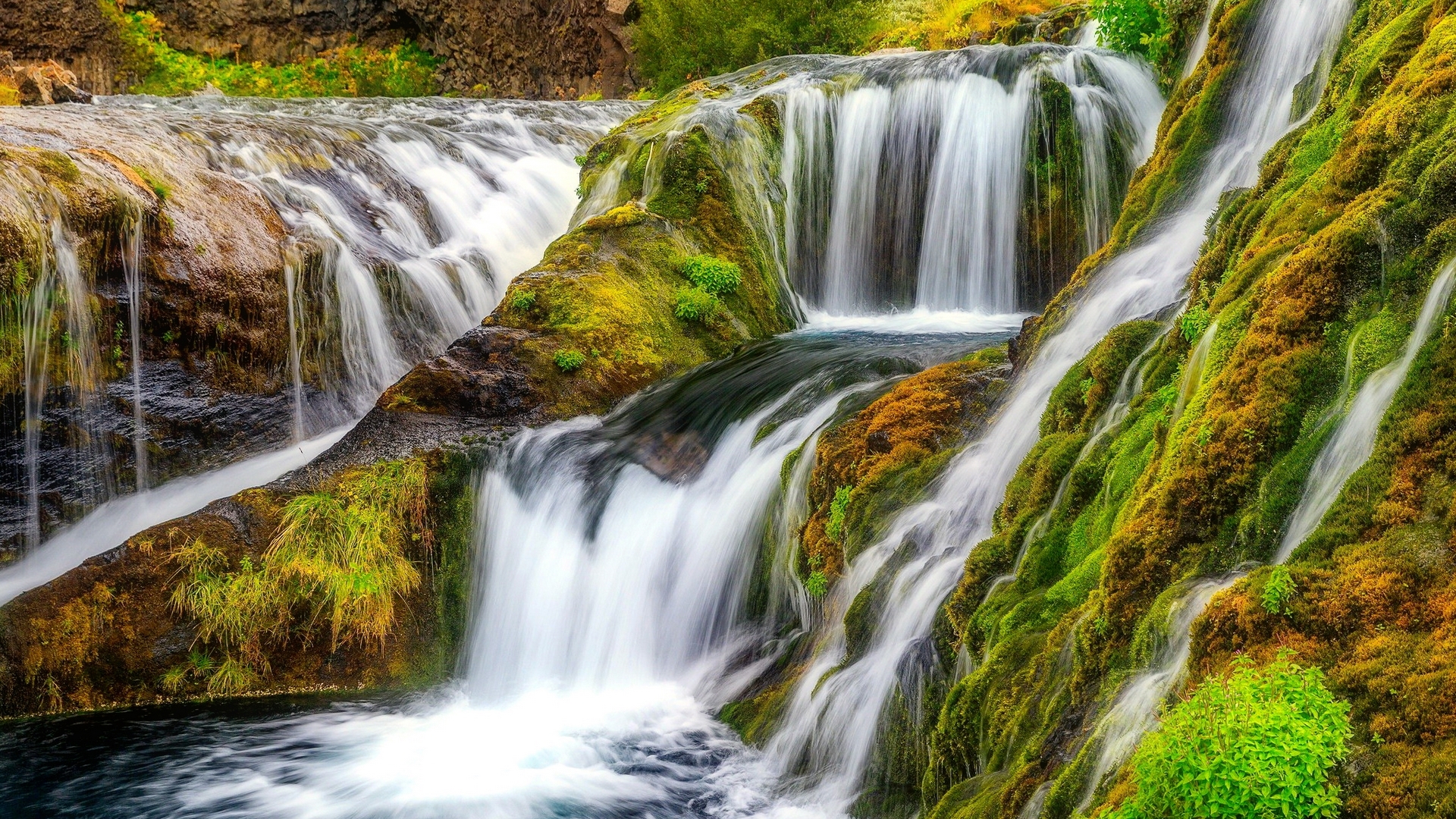 forest, stream, fall, autumn, grass, early, beautiful, cascades, waterfall, HD Wallpaper