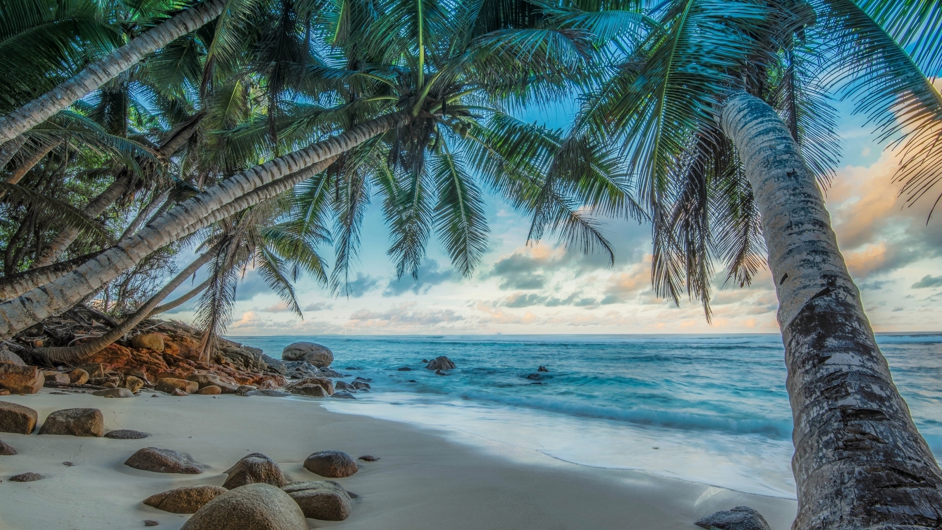 trees, beaches, oceans, paradise, palms, tropics, nature, HD Wallpaper