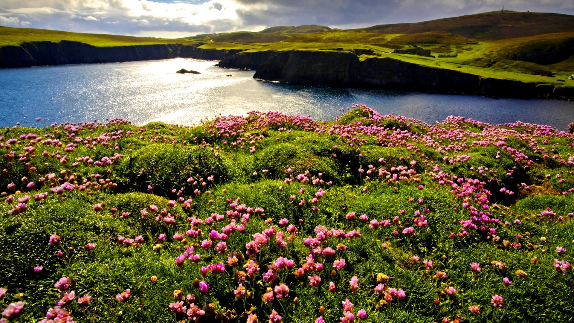 hills, flowers, blossoms, river, sky, HD Wallpaper